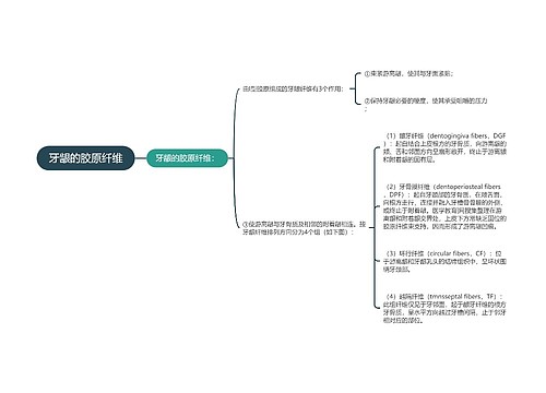 牙龈的胶原纤维