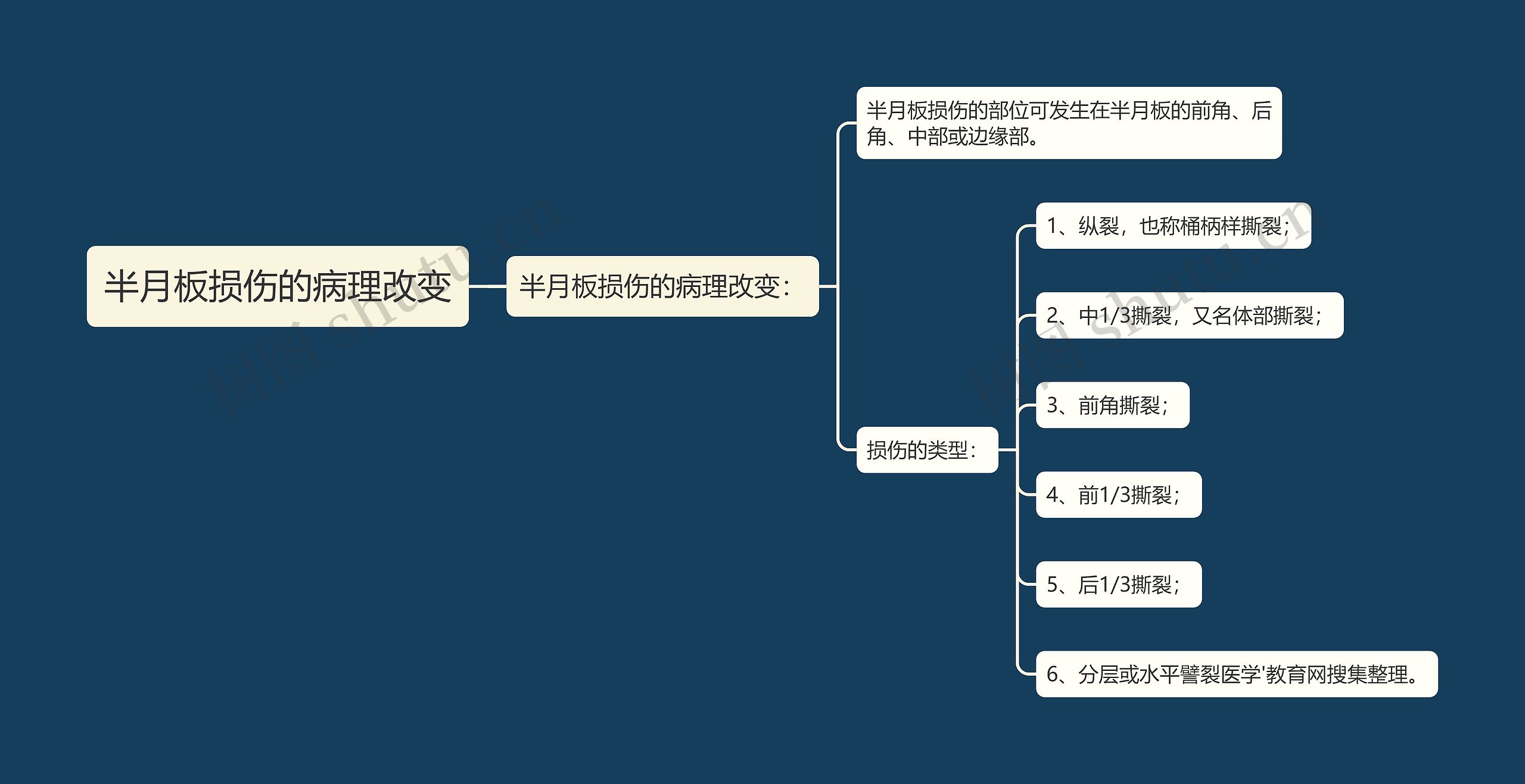 半月板损伤的病理改变