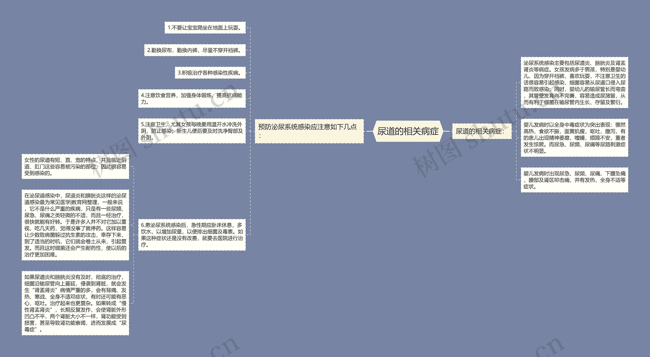 尿道的相关病症