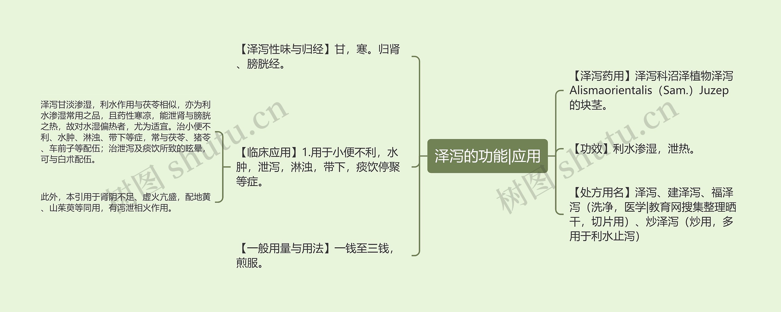 泽泻的功能|应用 泽泻的功能|应用