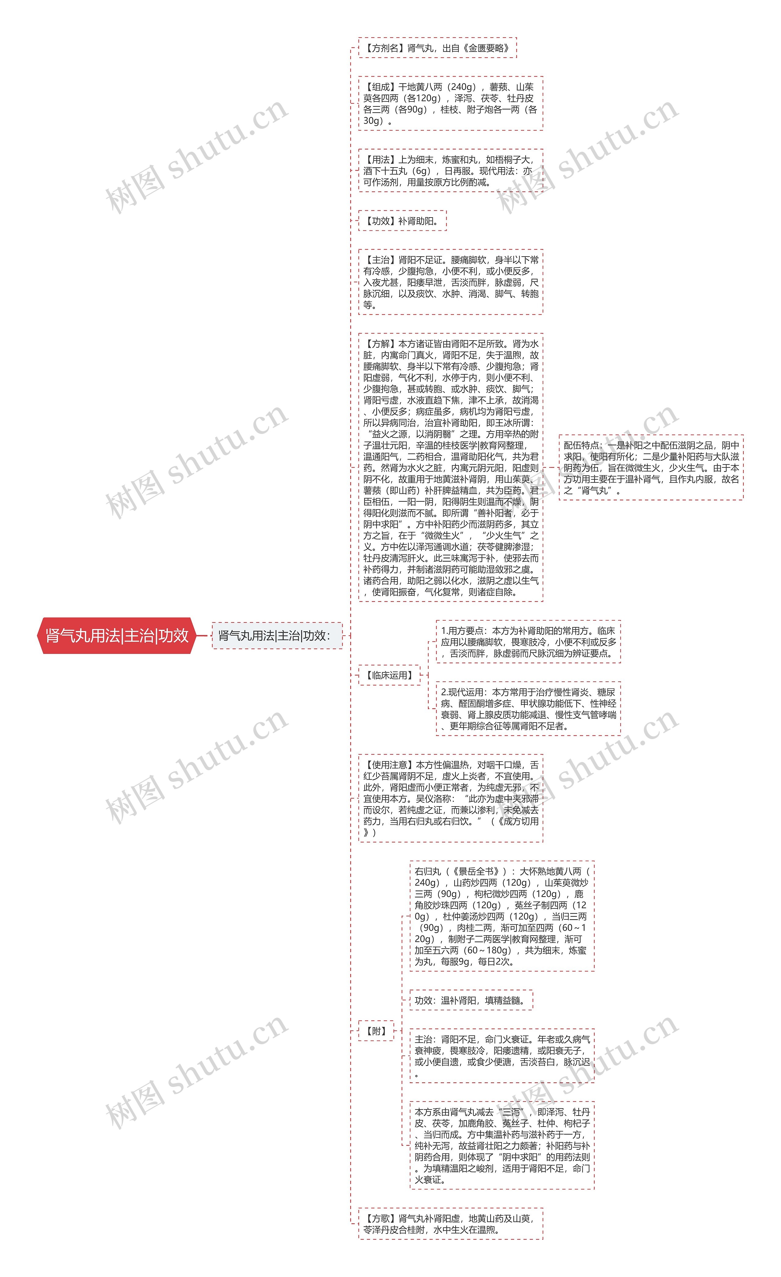 肾气丸用法|主治|功效思维导图