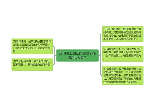 牙周膜上的细胞主要包括哪几大类别？