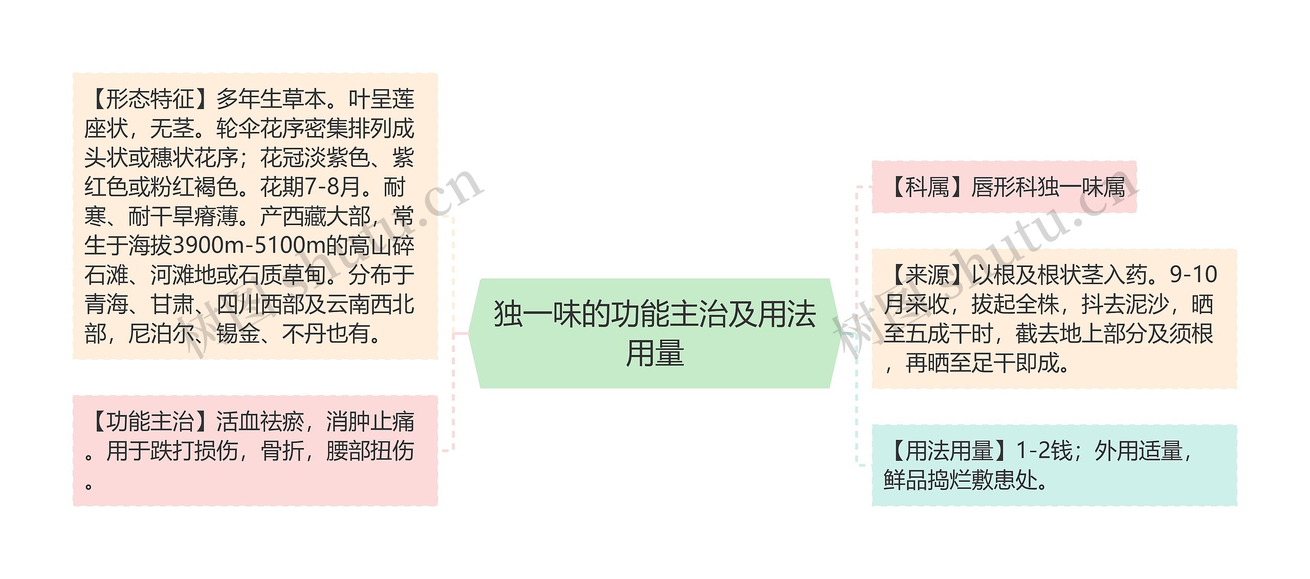 独一味的功能主治及用法用量思维导图