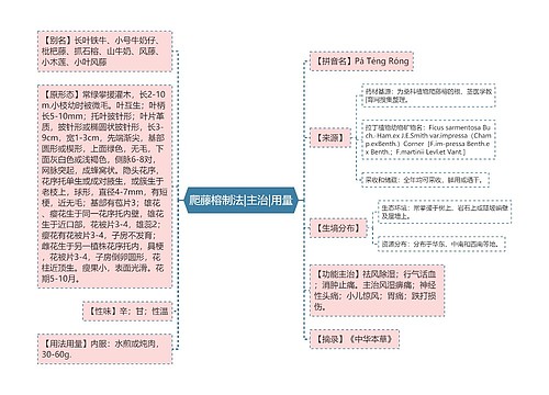 爬藤榕制法|主治|用量