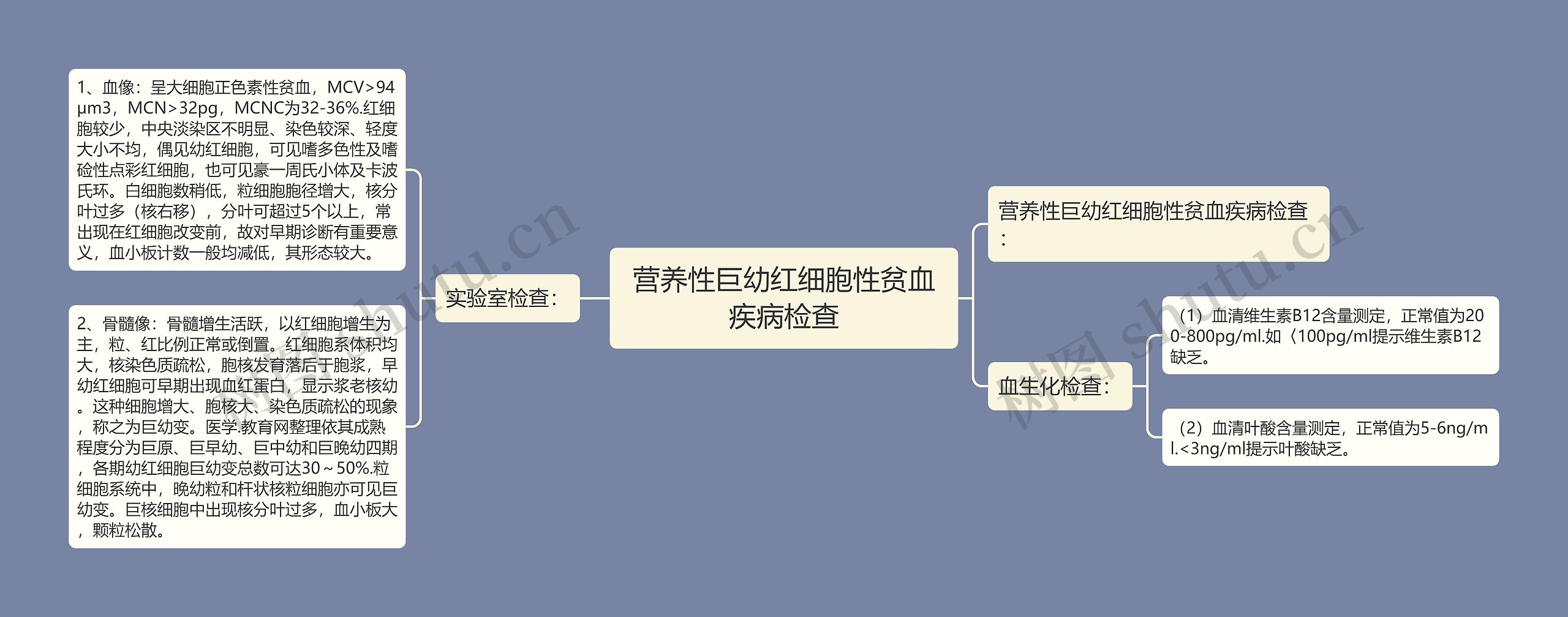营养性巨幼红细胞性贫血疾病检查 营养性巨幼红细胞性贫血疾病检查