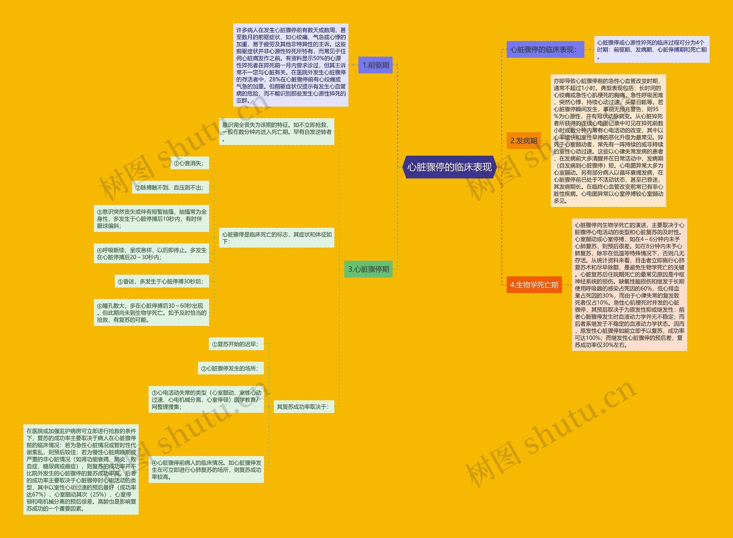 心脏骤停的临床表现思维导图