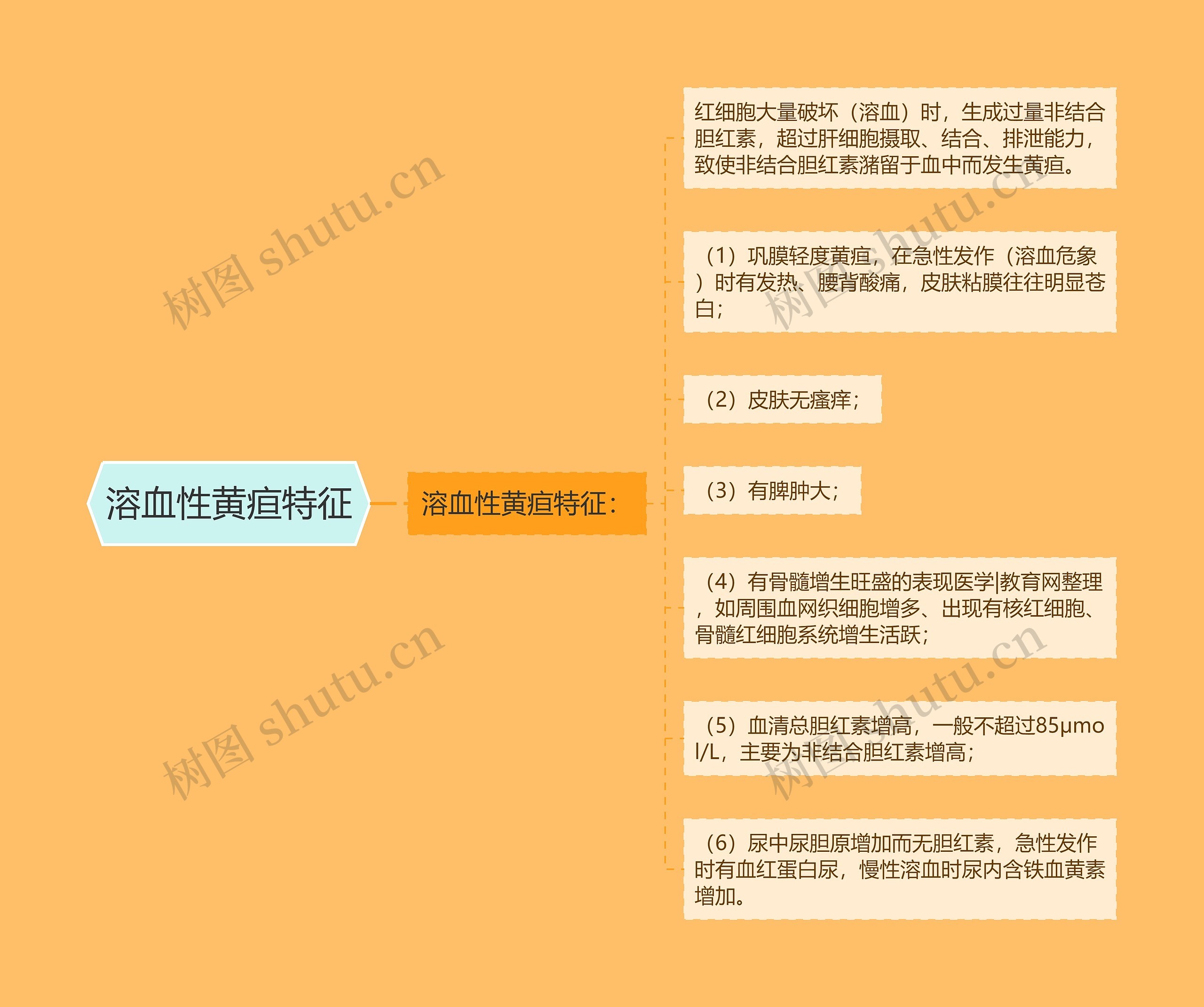 溶血性黄疸特征思维导图