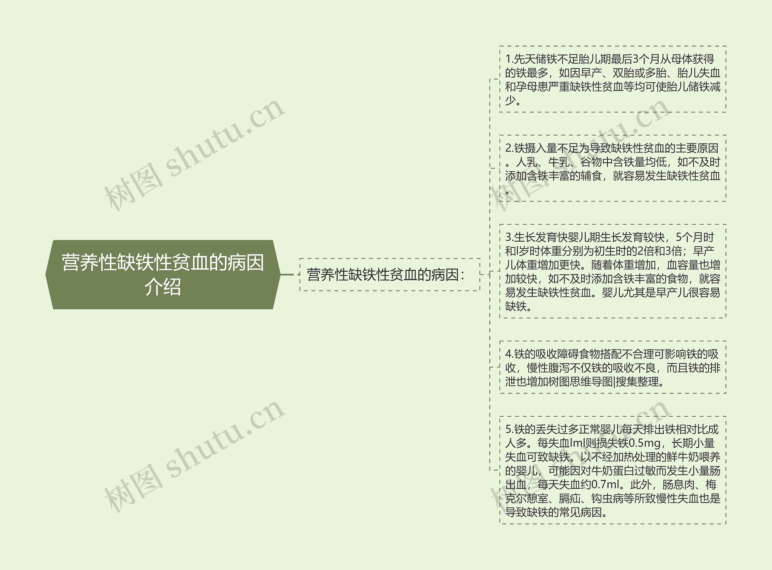 营养性缺铁性贫血的病因介绍 营养性缺铁性贫血的病因介绍