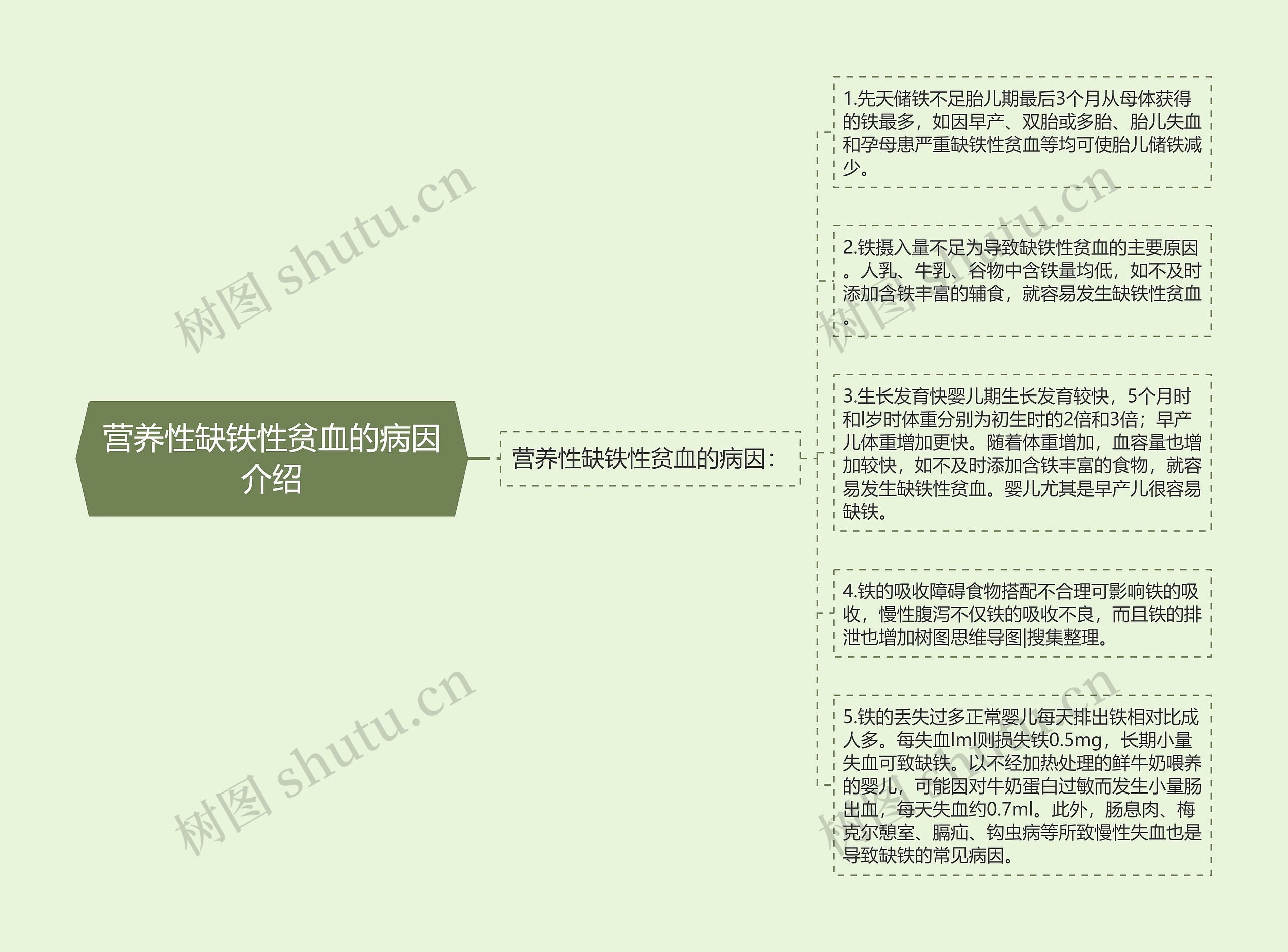 营养性缺铁性贫血的病因介绍思维导图