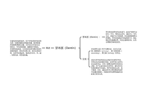 牙本质（Dentin）