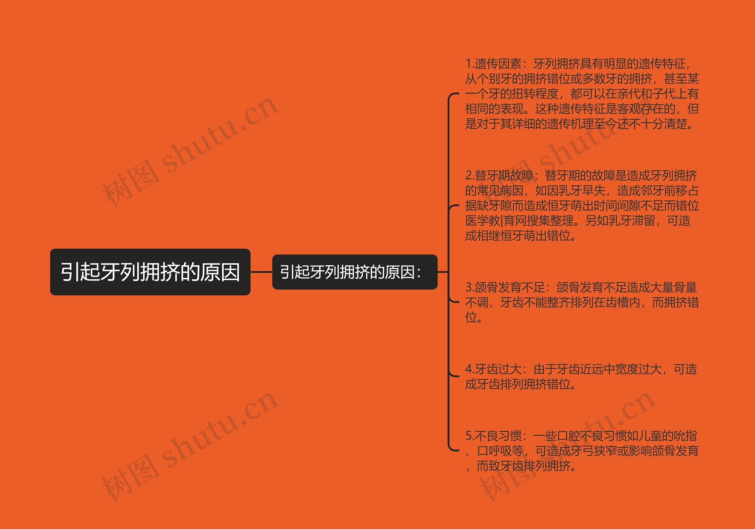 引起牙列拥挤的原因