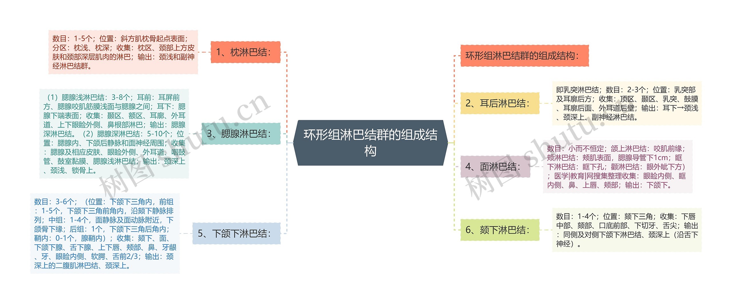 环形组淋巴结群的组成结构思维导图