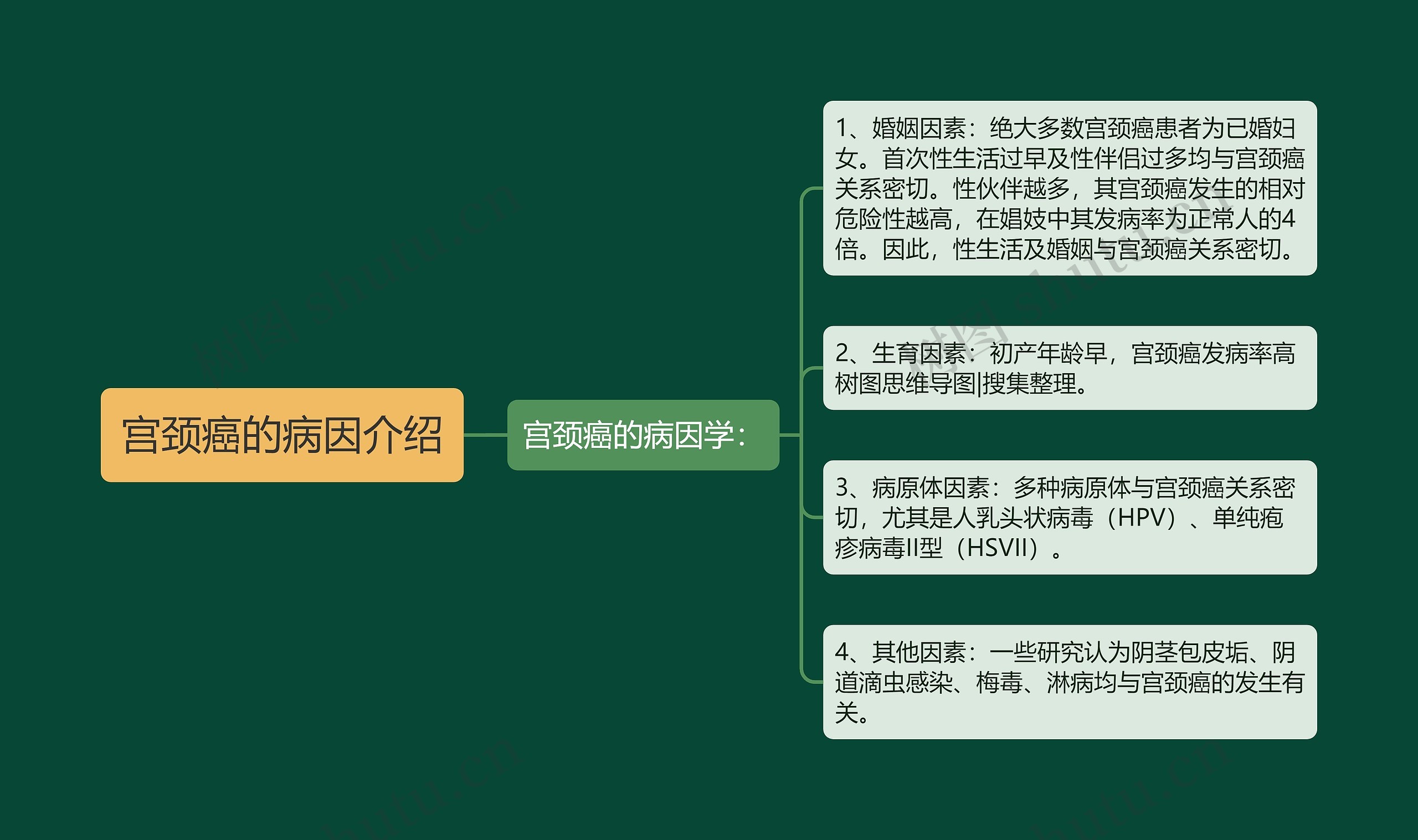 宫颈癌的病因介绍 宫颈癌的病因介绍