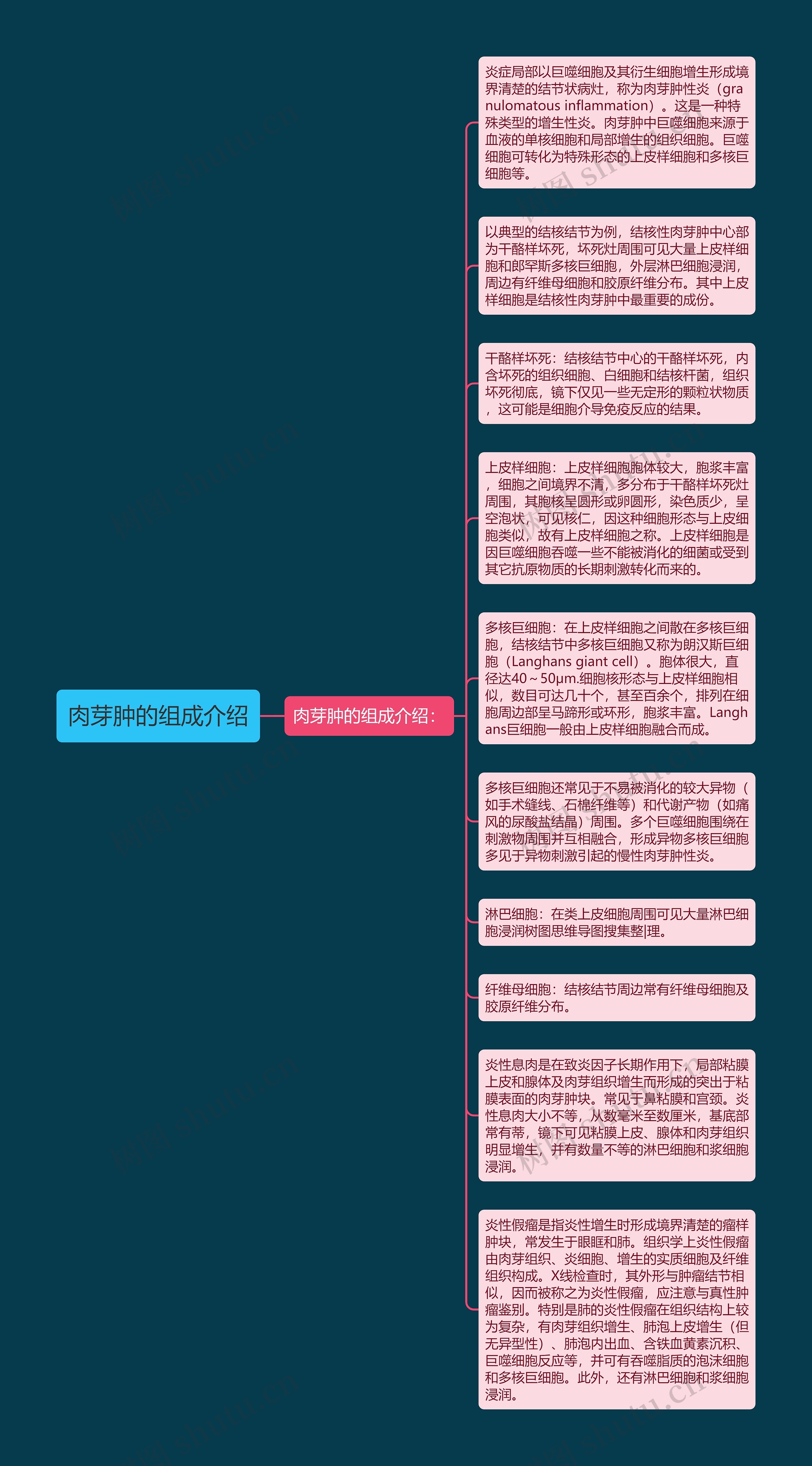 肉芽肿的组成介绍思维导图