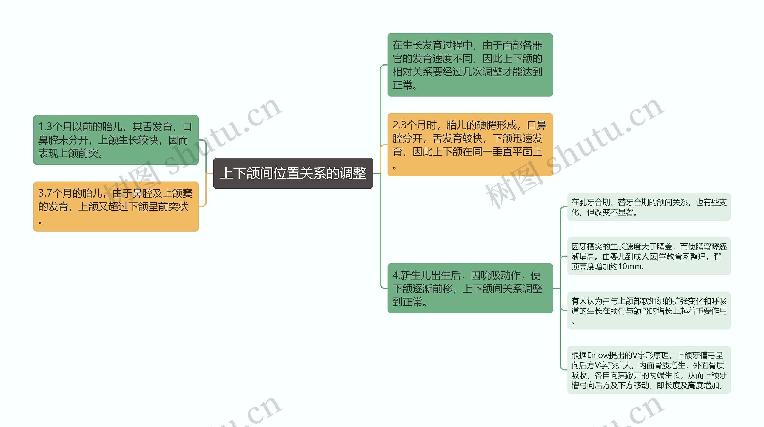 上下颌间位置关系的调整思维导图