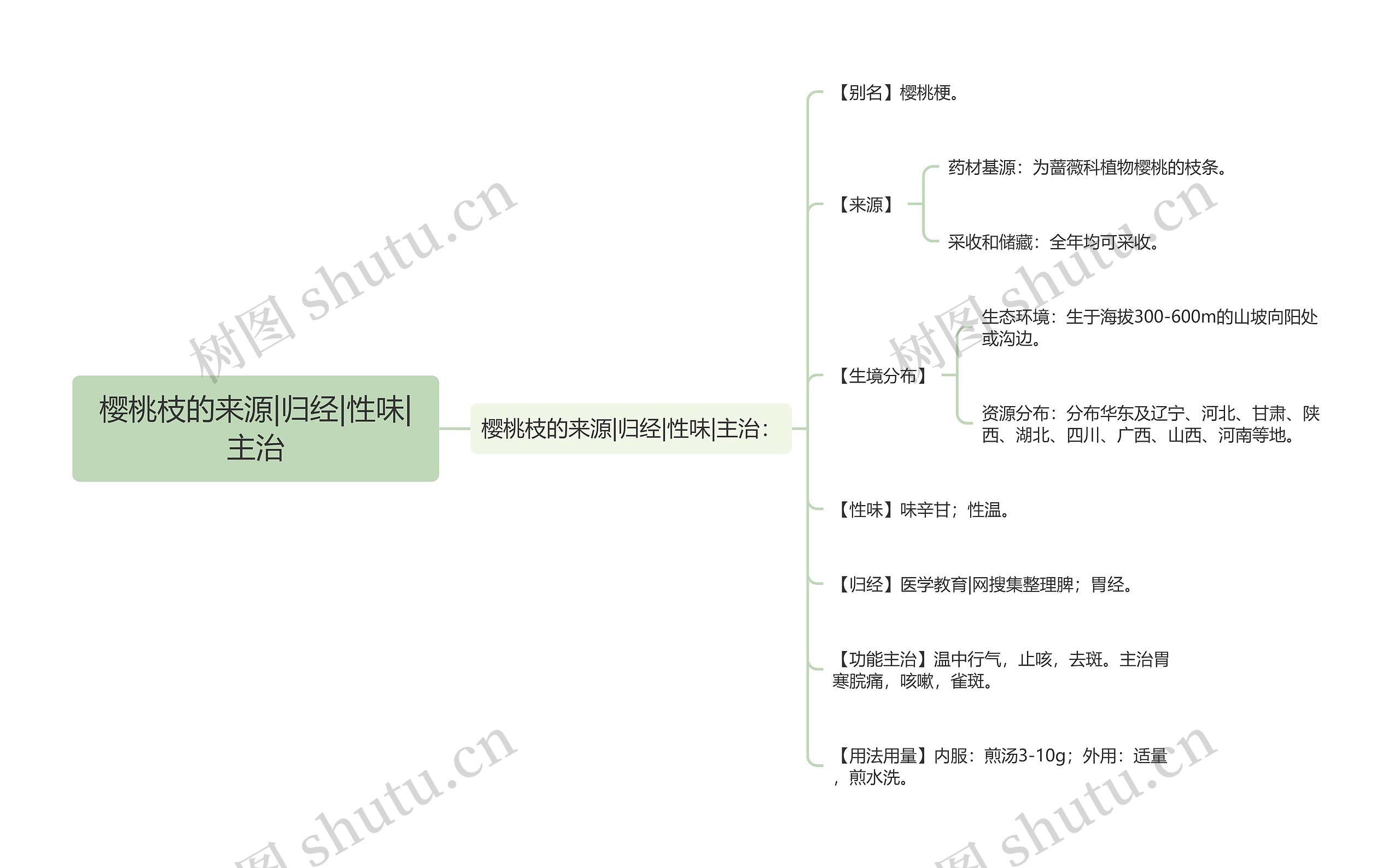 樱桃枝的来源|归经|性味|主治思维导图