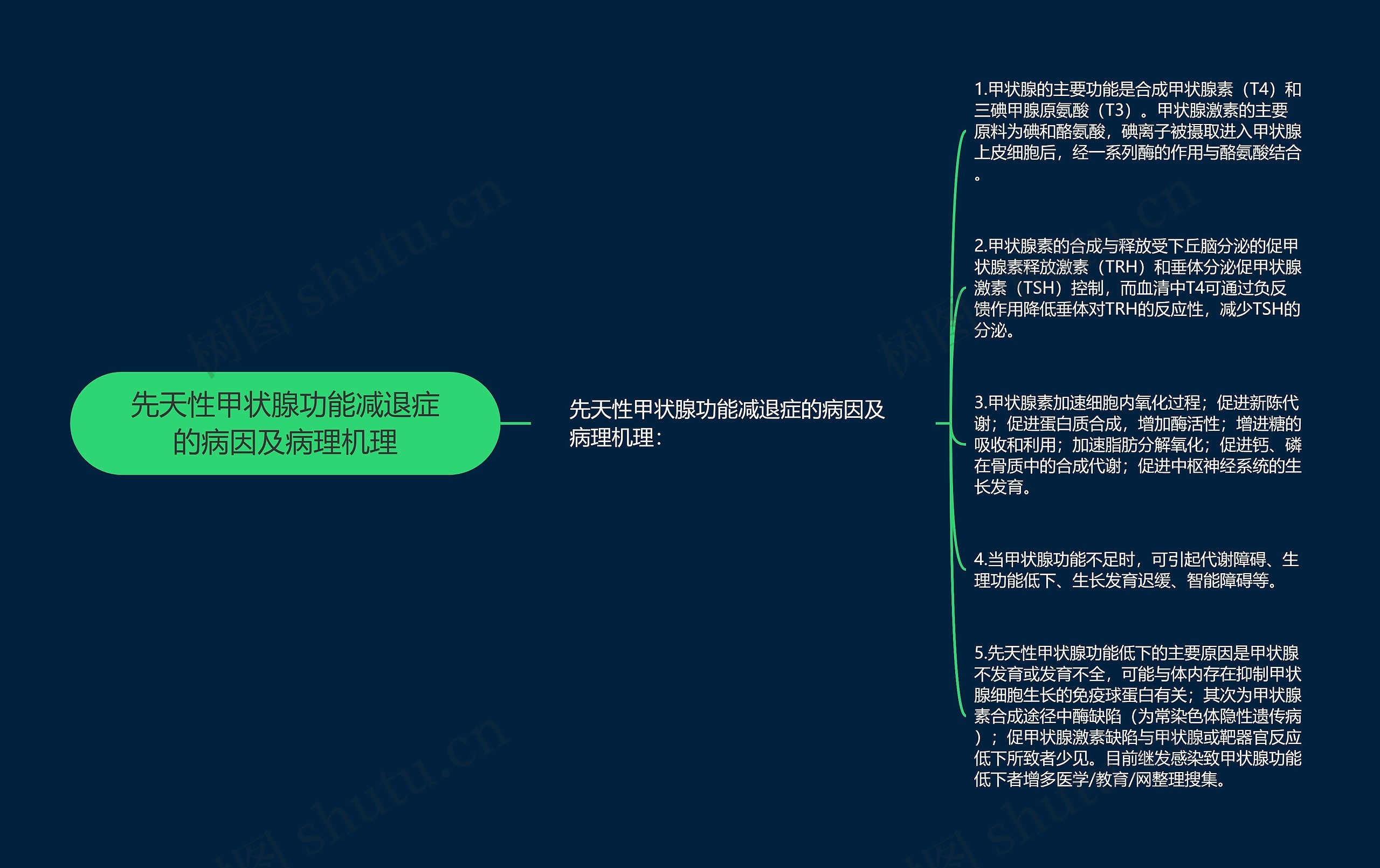 先天性甲状腺功能减退症的病因及病理机理