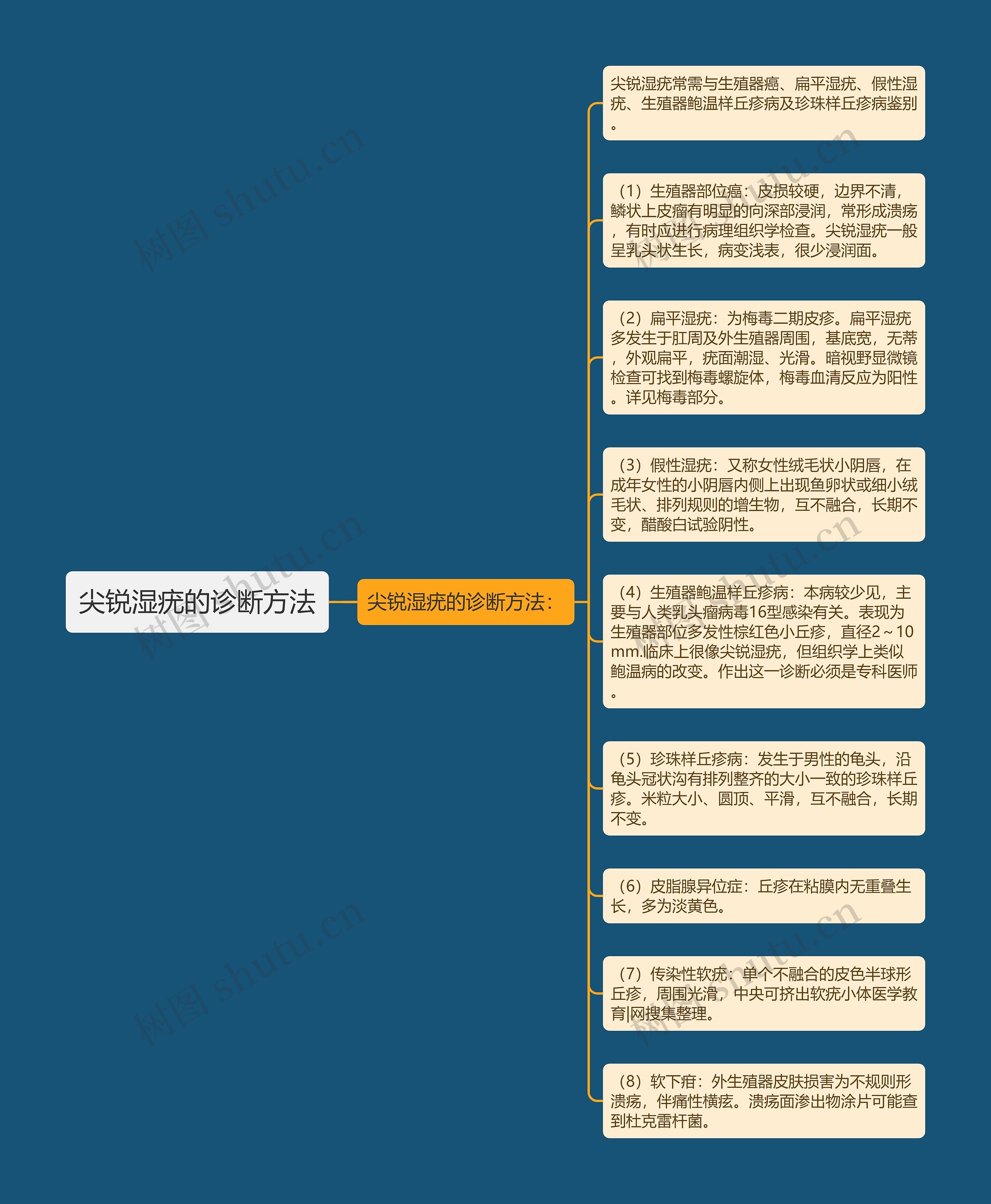 尖锐湿疣的诊断方法思维导图