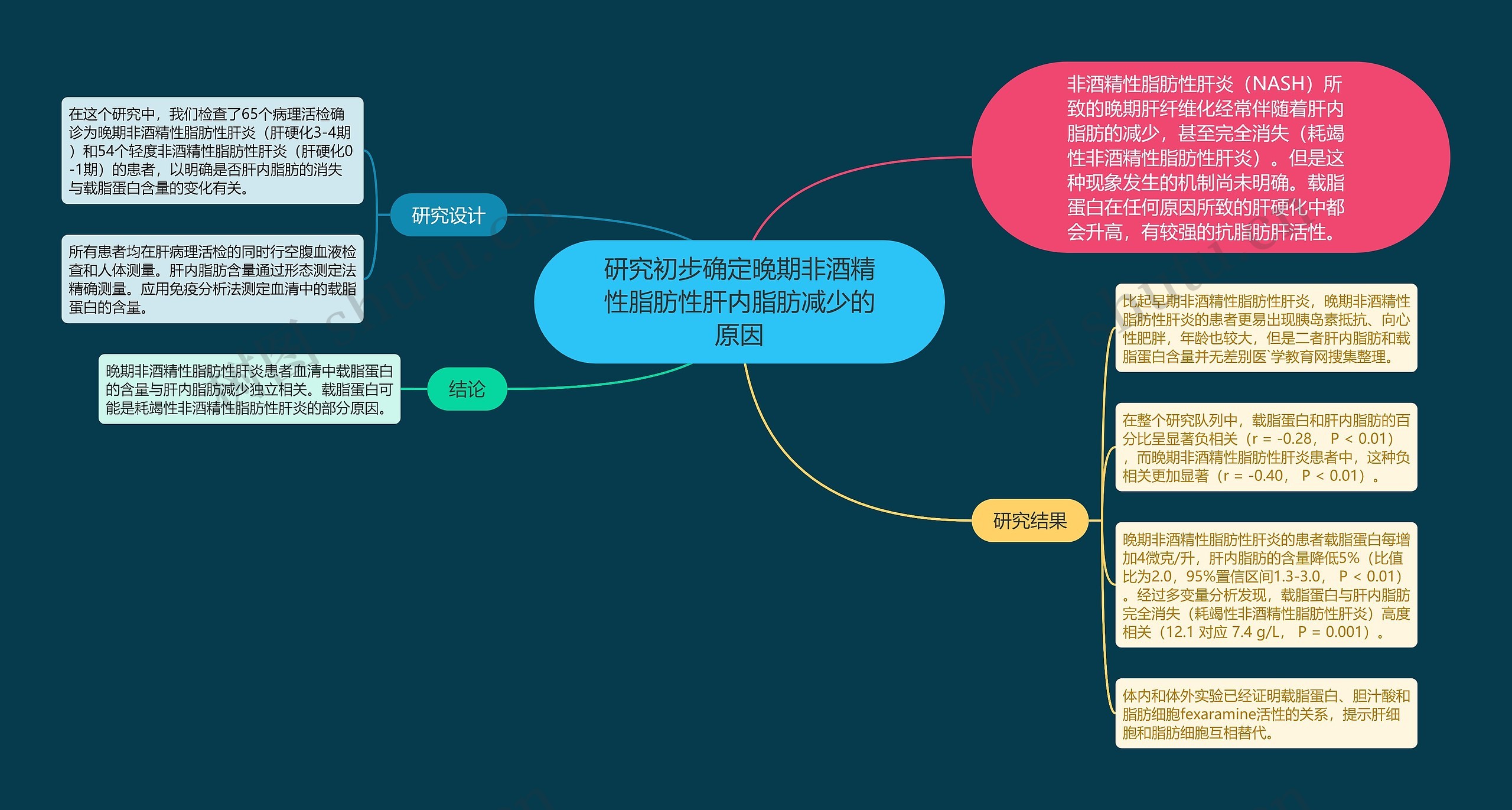 研究初步确定晚期非酒精性脂肪性肝内脂肪减少的原因 研究初步确定晚期非酒精性脂肪性肝内脂肪减少的原因