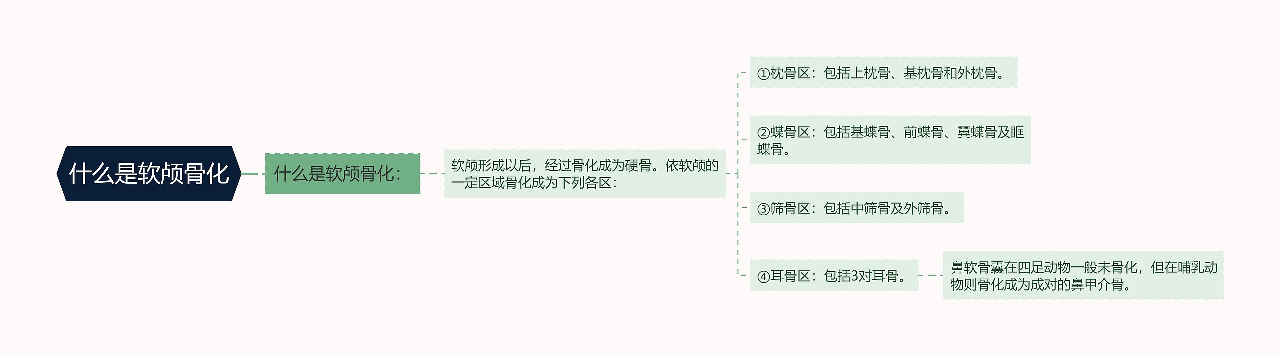 什么是软颅骨化思维导图