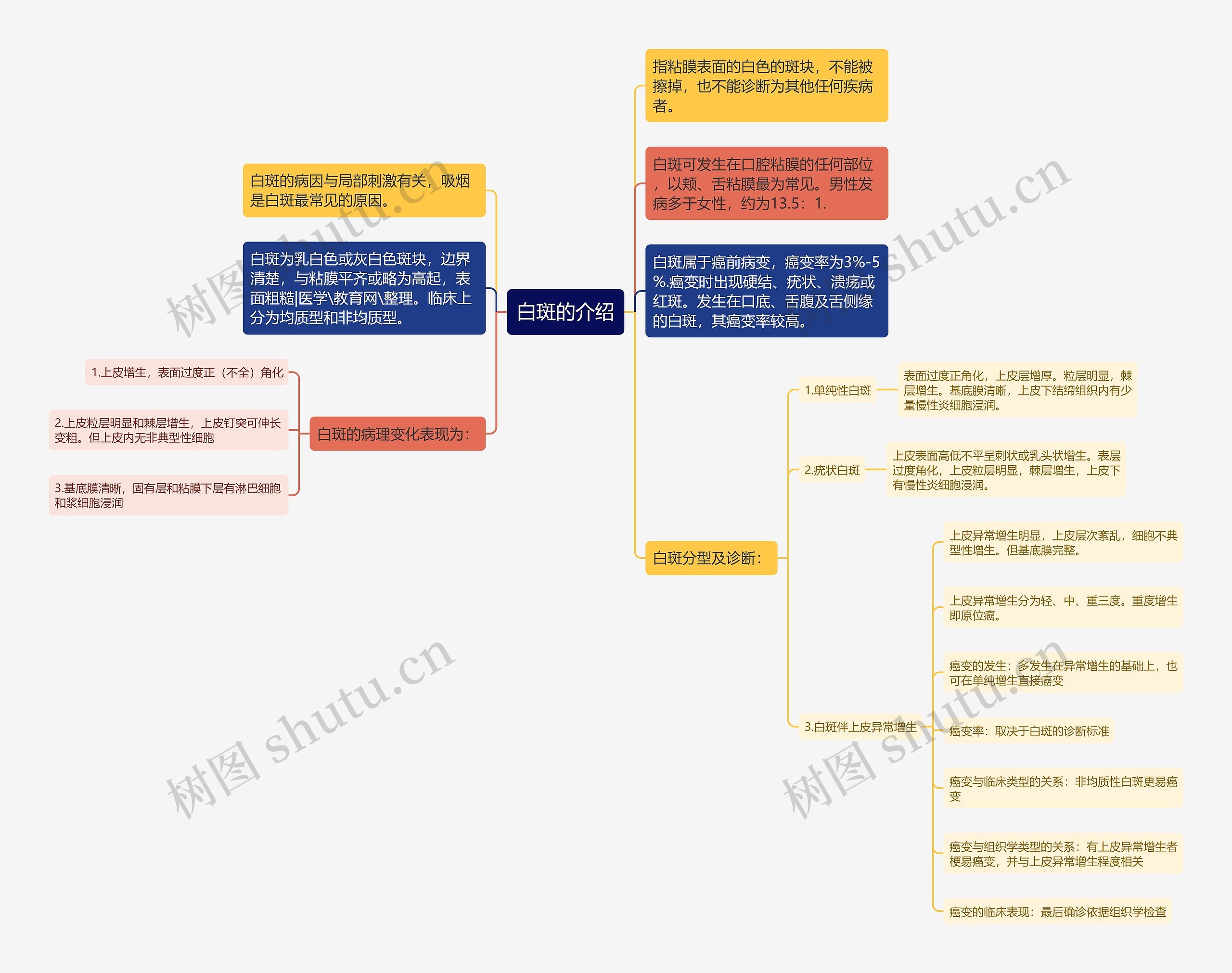 白斑的介绍思维导图