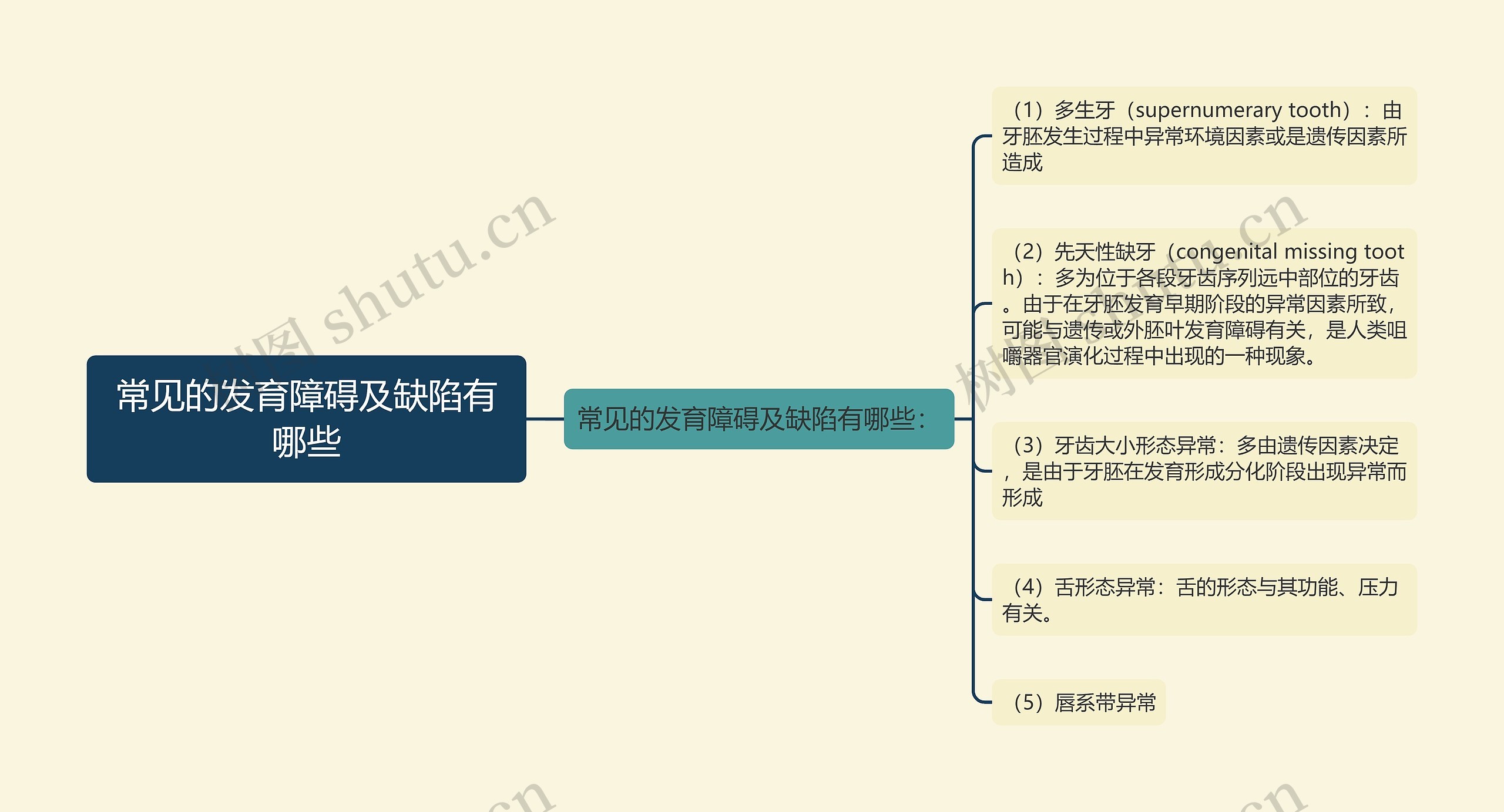 常见的发育障碍及缺陷有哪些