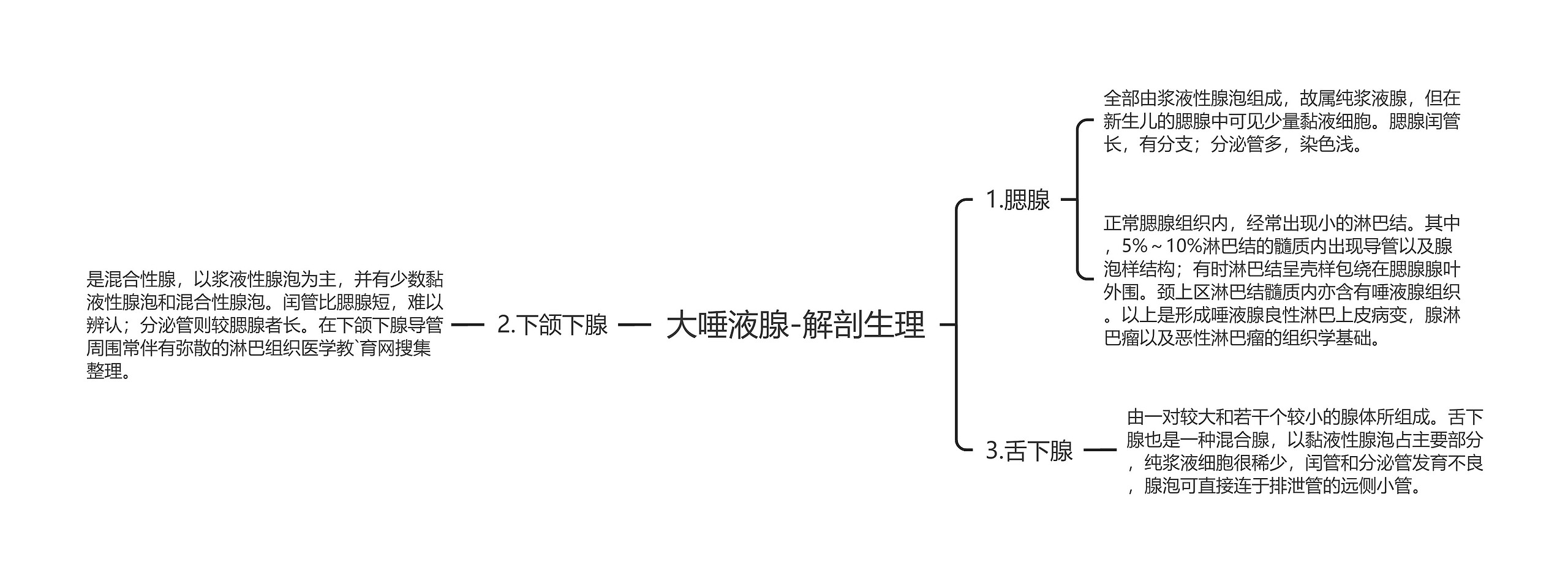 大唾液腺-解剖生理思维导图