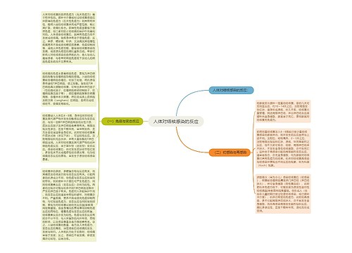 人体对结核感染的反应