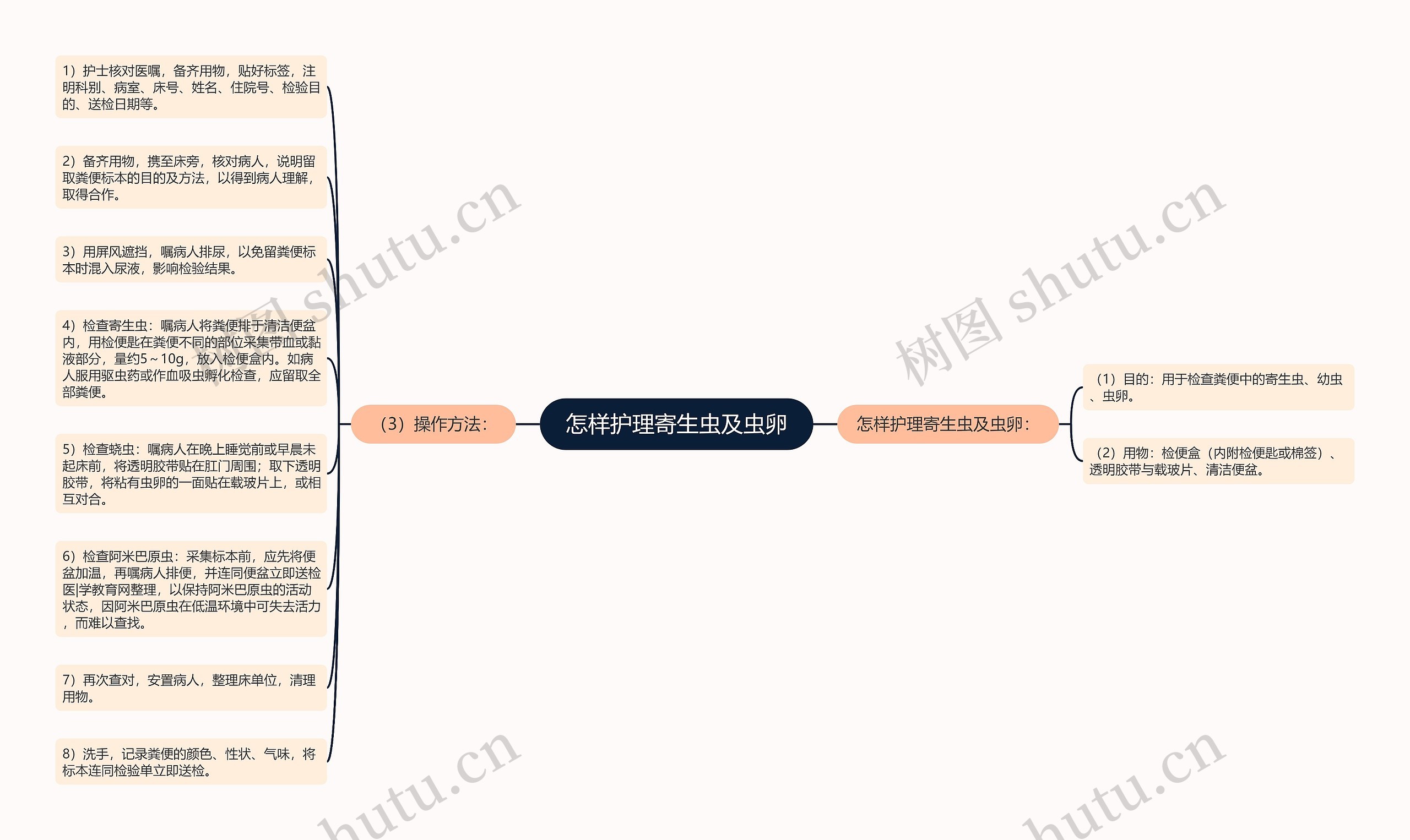 怎样护理寄生虫及虫卵思维导图