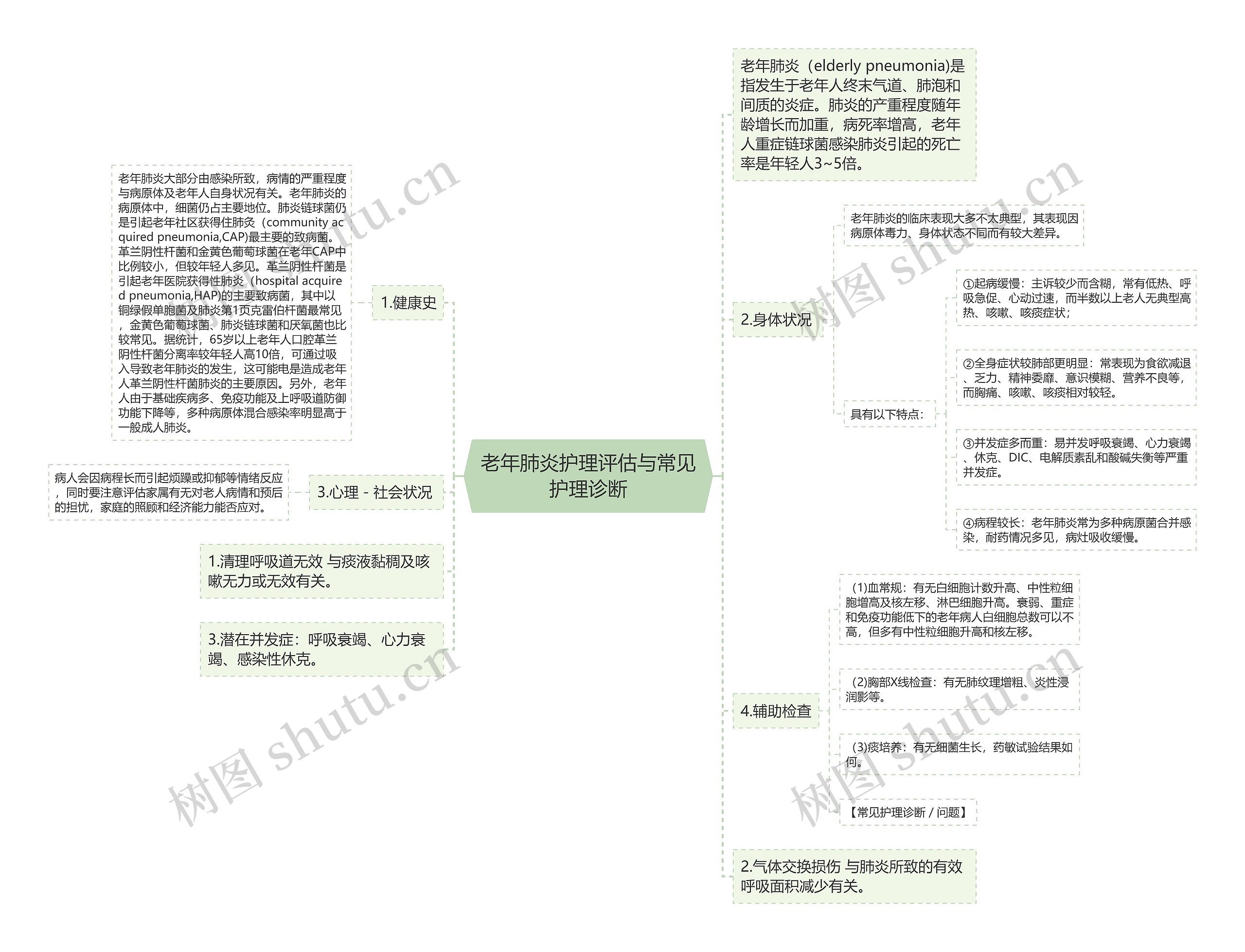 老年肺炎护理评估与常见护理诊断