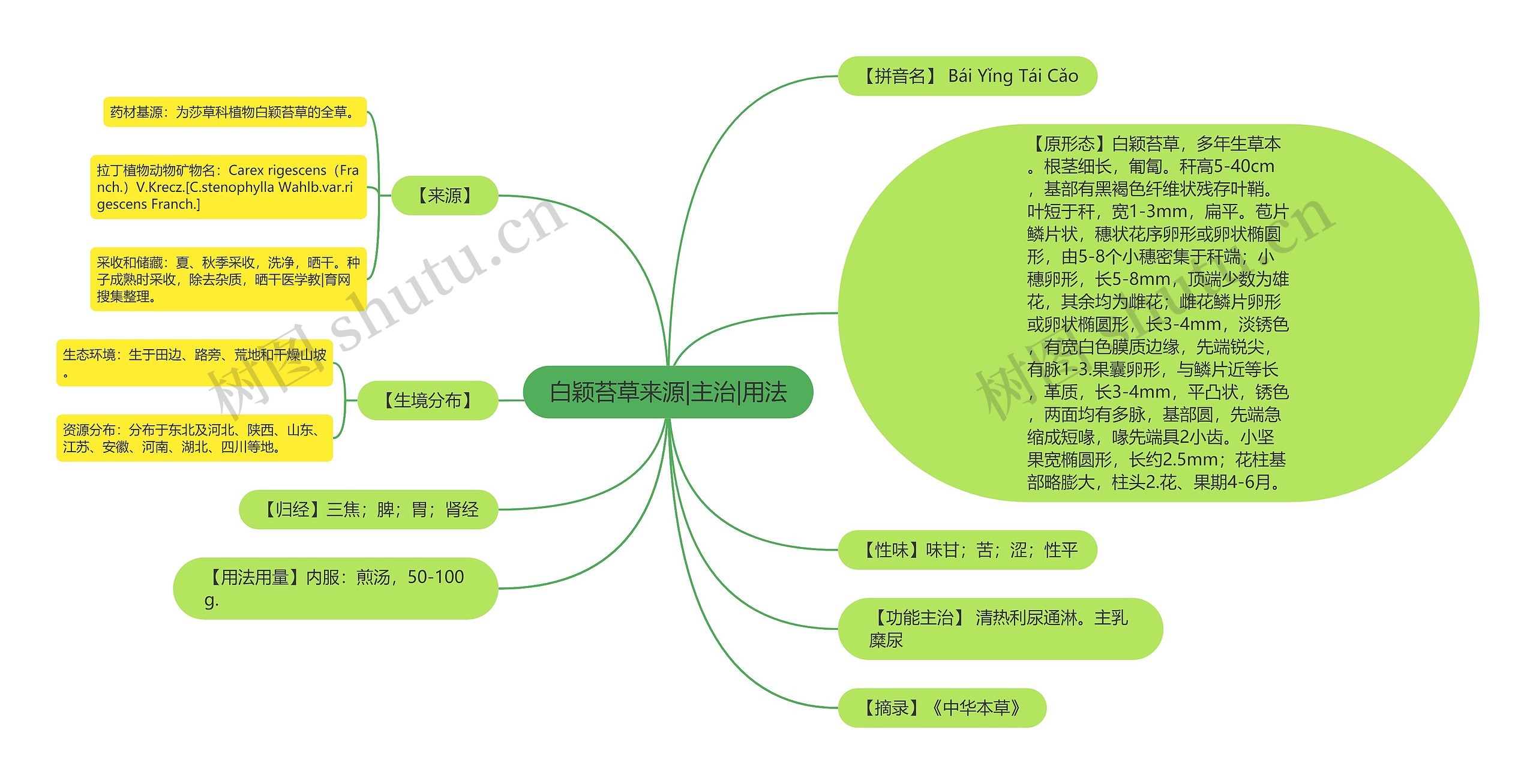 白颖苔草来源|主治|用法思维导图