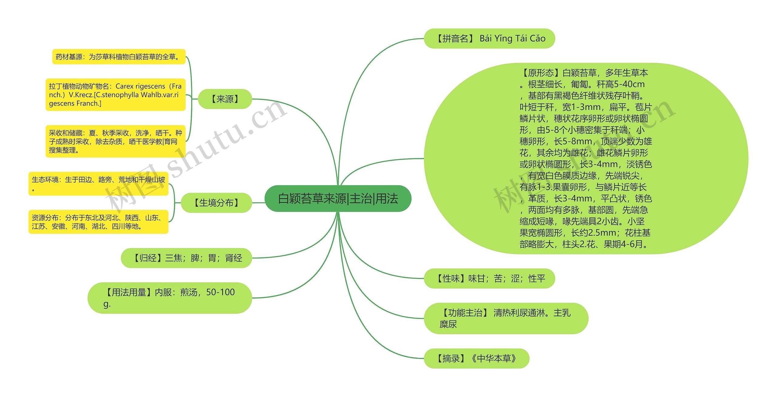 白颖苔草来源|主治|用法 白颖苔草来源|主治|用法