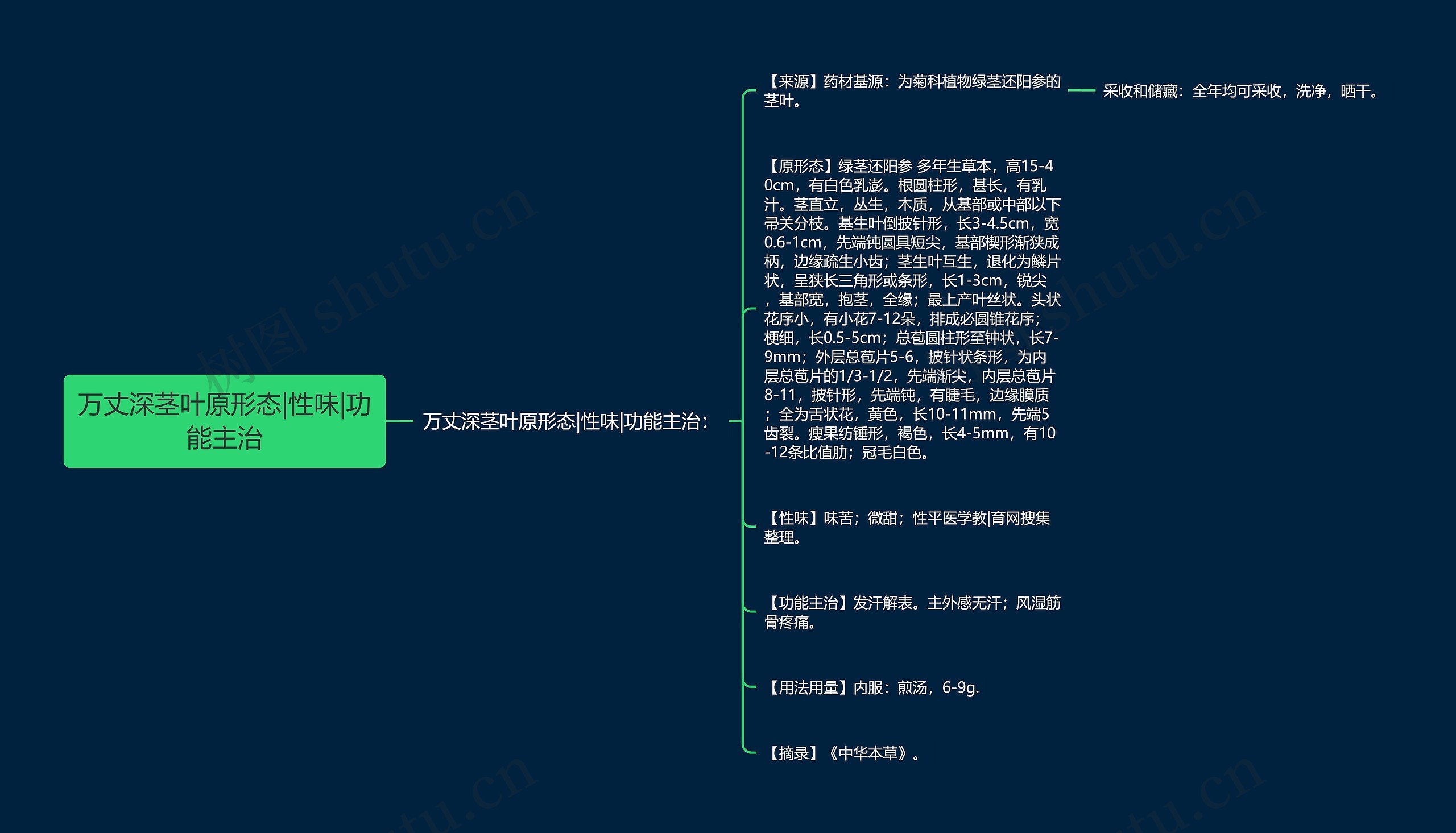 万丈深茎叶原形态|性味|功能主治思维导图