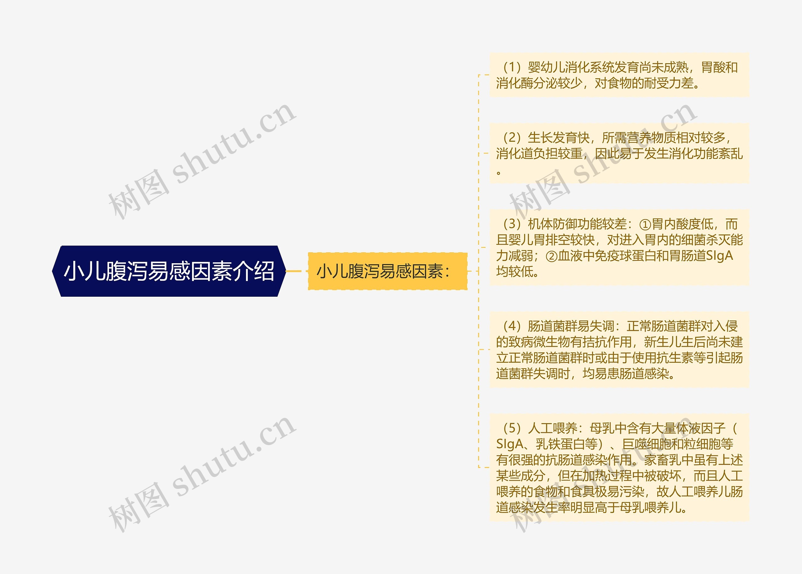 小儿腹泻易感因素介绍思维导图