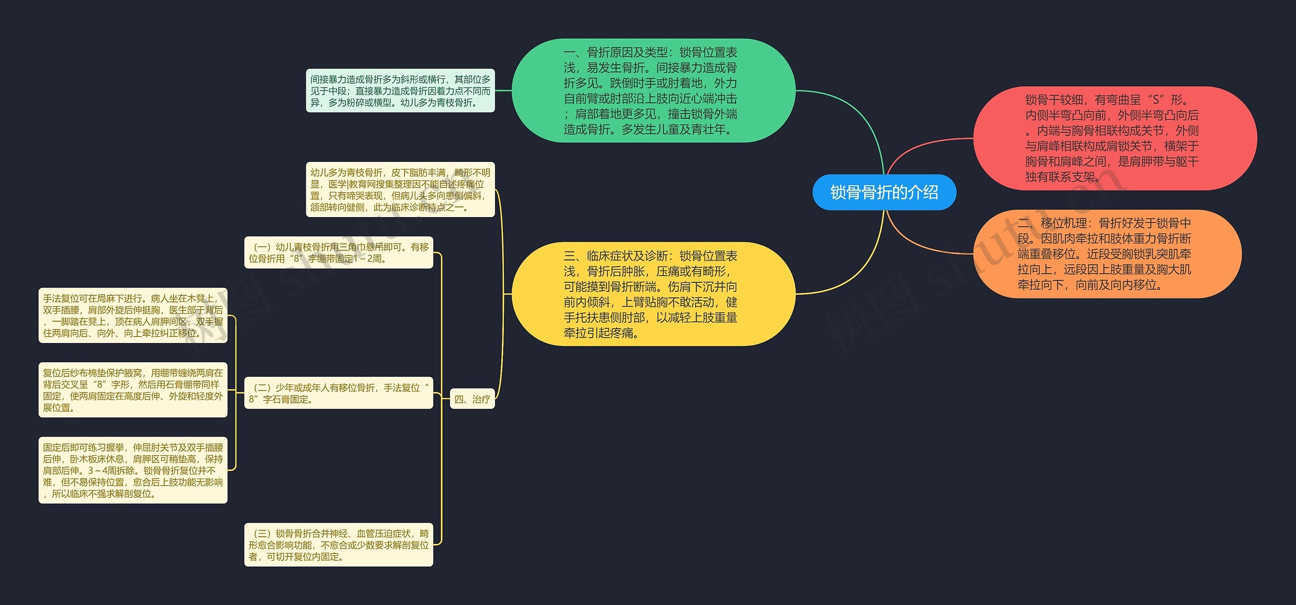 锁骨骨折的介绍