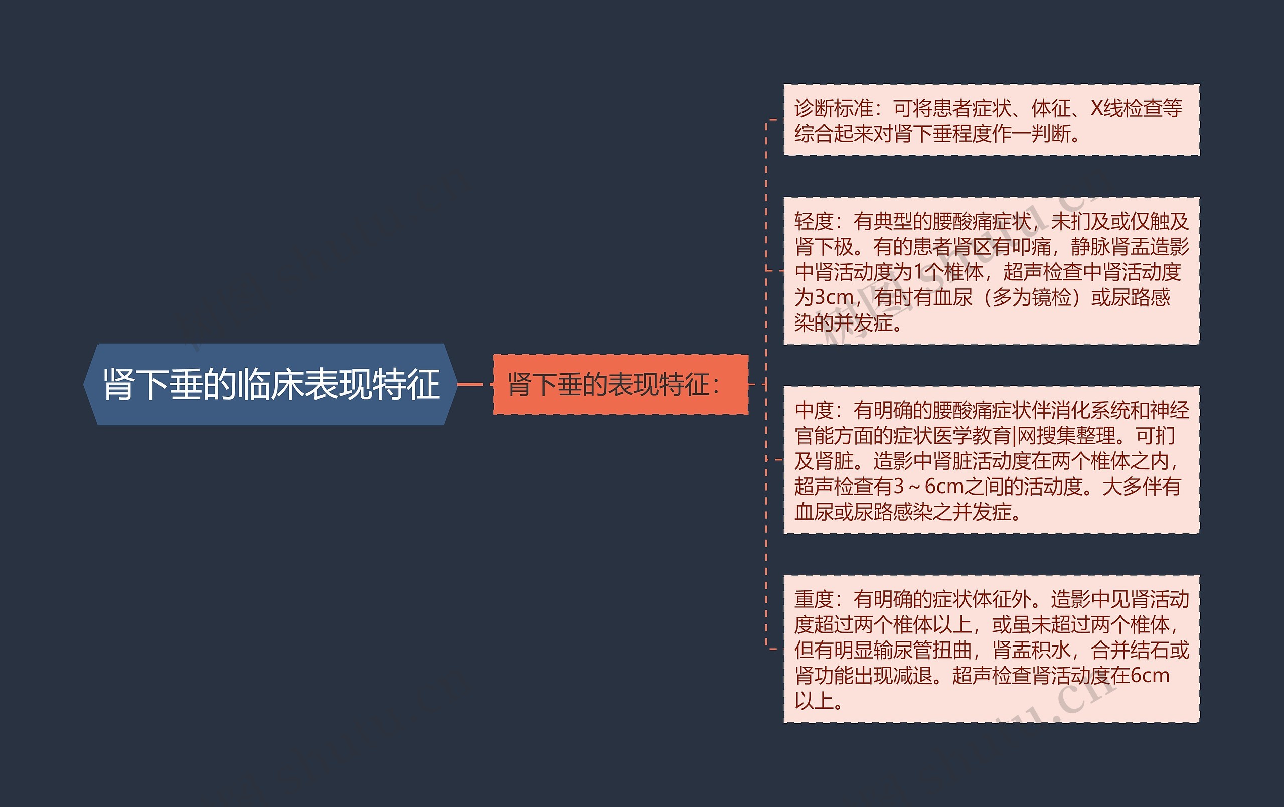肾下垂的临床表现特征 肾下垂的临床表现特征