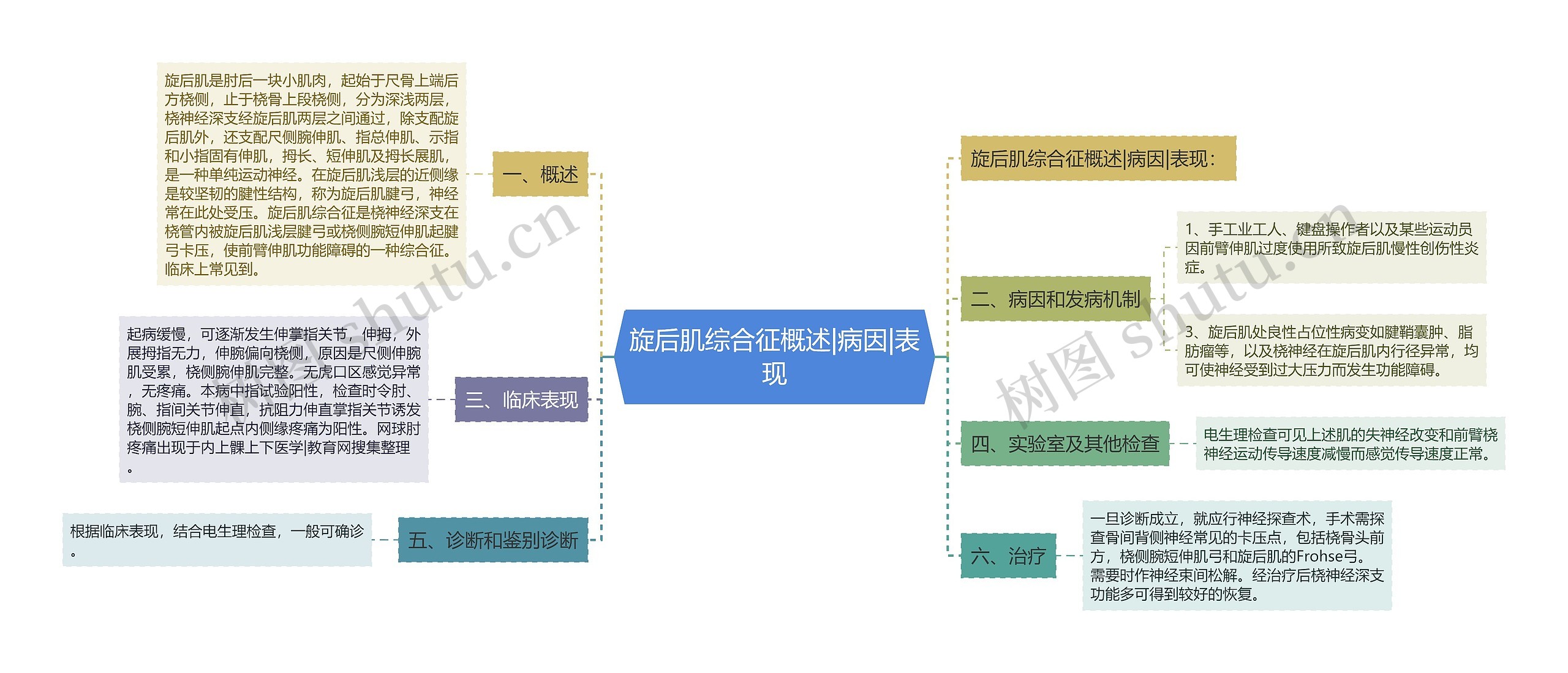 旋后肌综合征概述|病因|表现思维导图