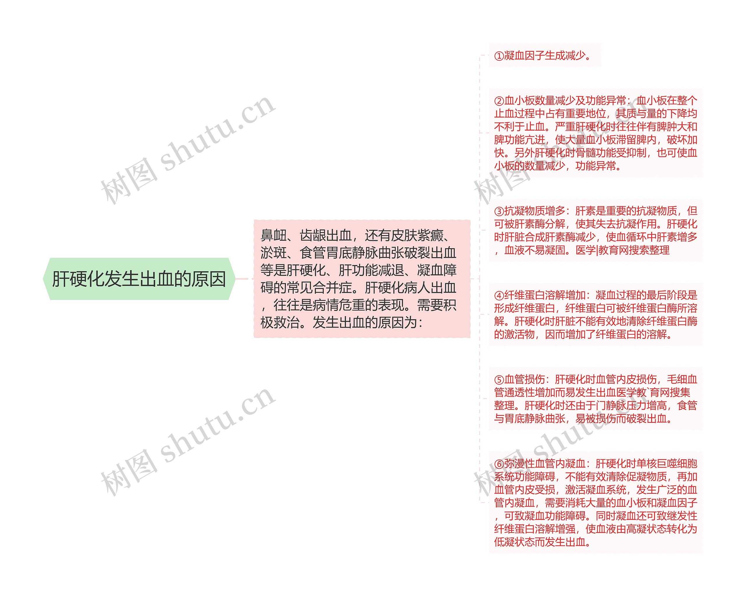 肝硬化发生出血的原因思维导图