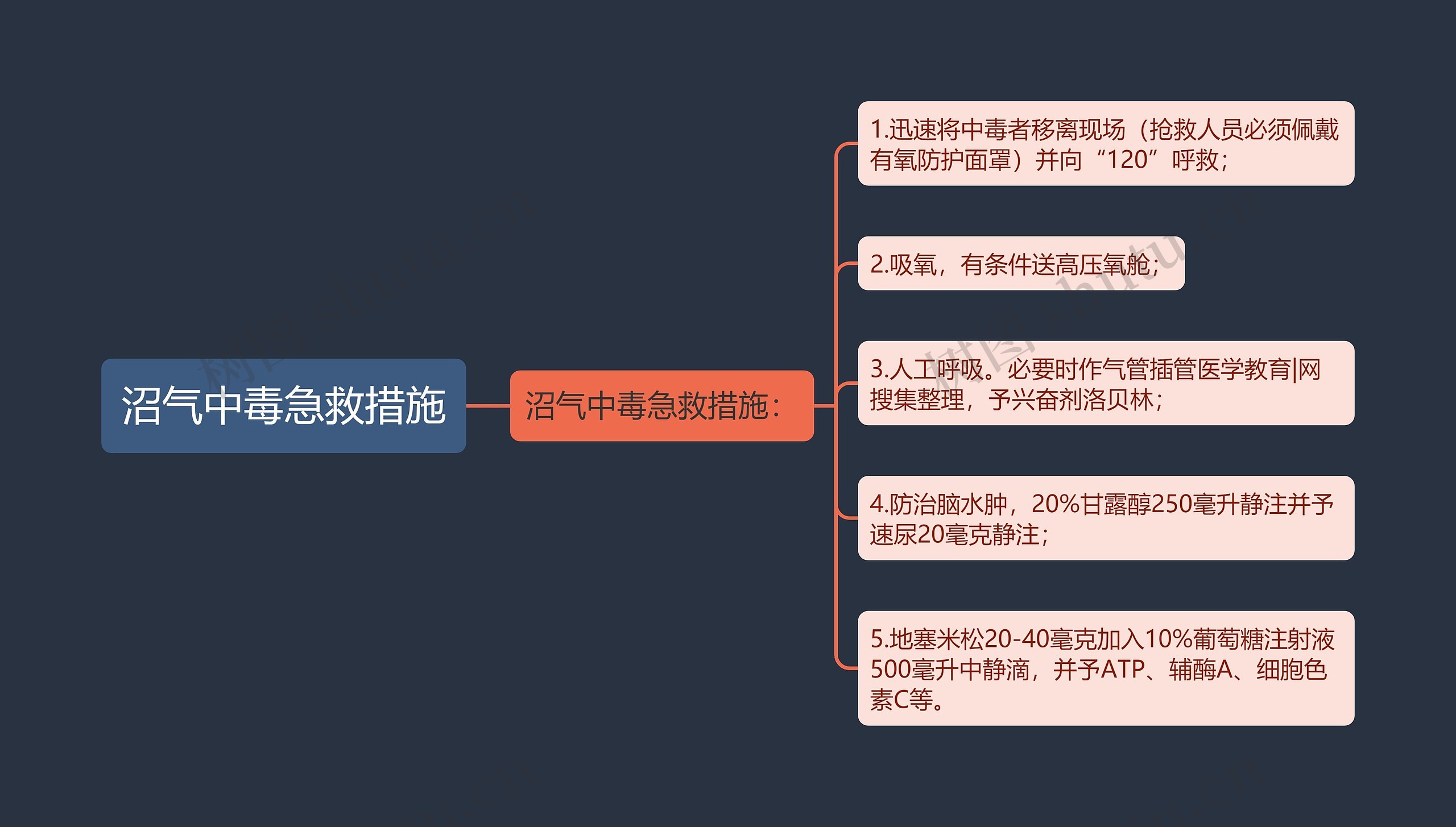 沼气中毒急救措施思维导图