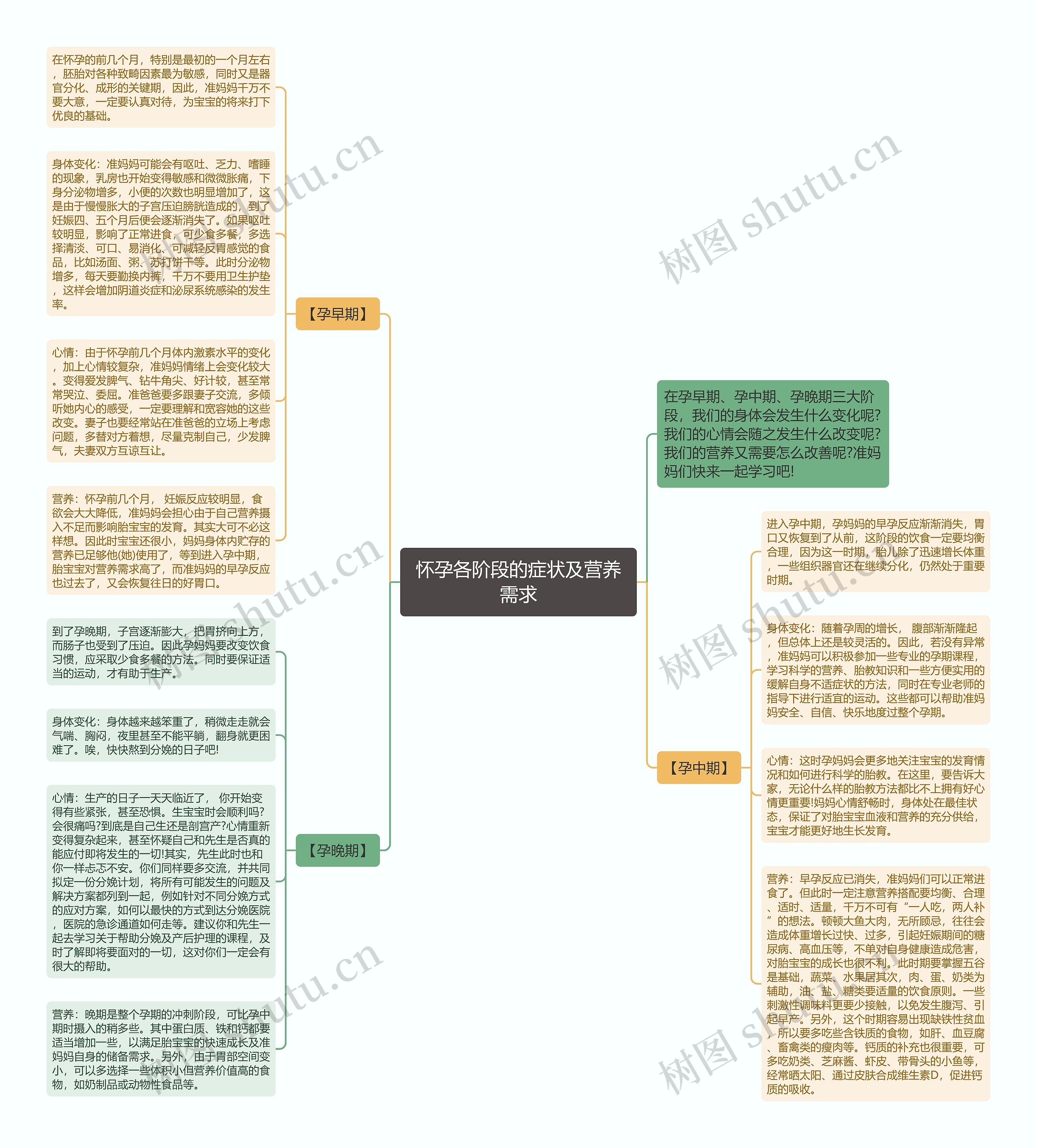 怀孕各阶段的症状及营养需求思维导图