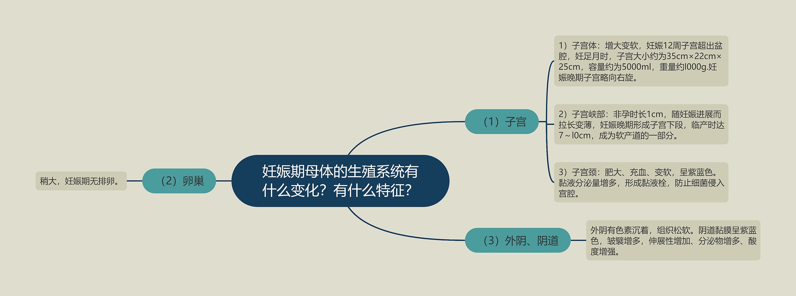 妊娠期母体的生殖系统有什么变化？有什么特征？