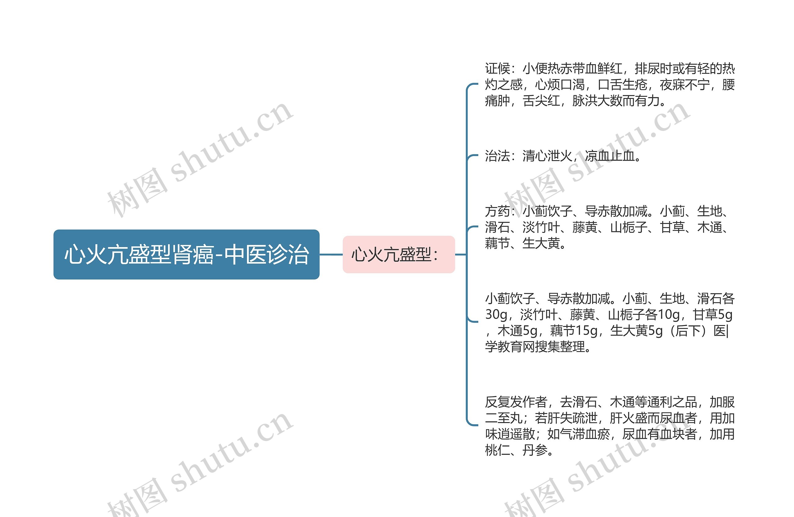 心火亢盛型肾癌-中医诊治思维导图