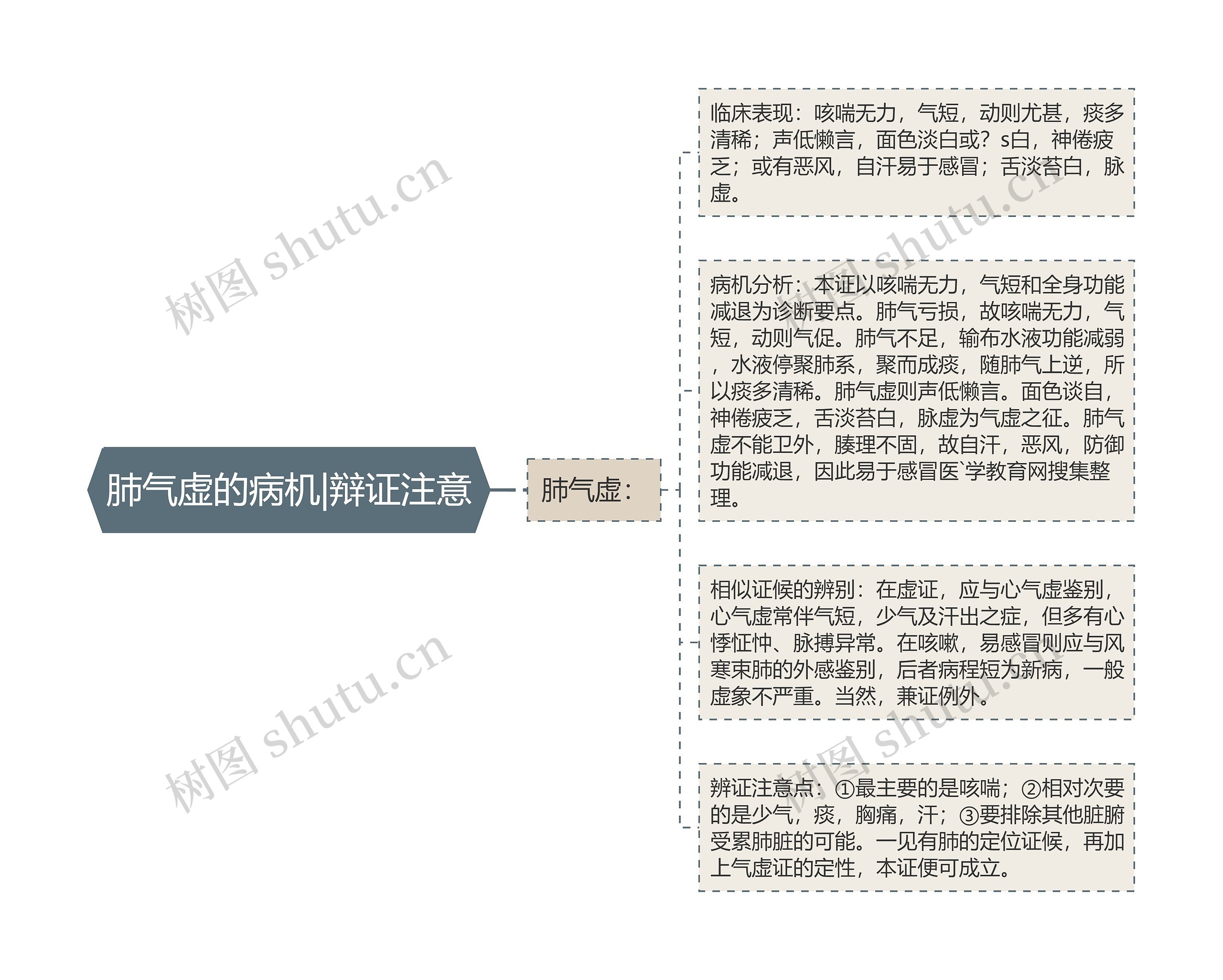 肺气虚的病机|辩证注意
