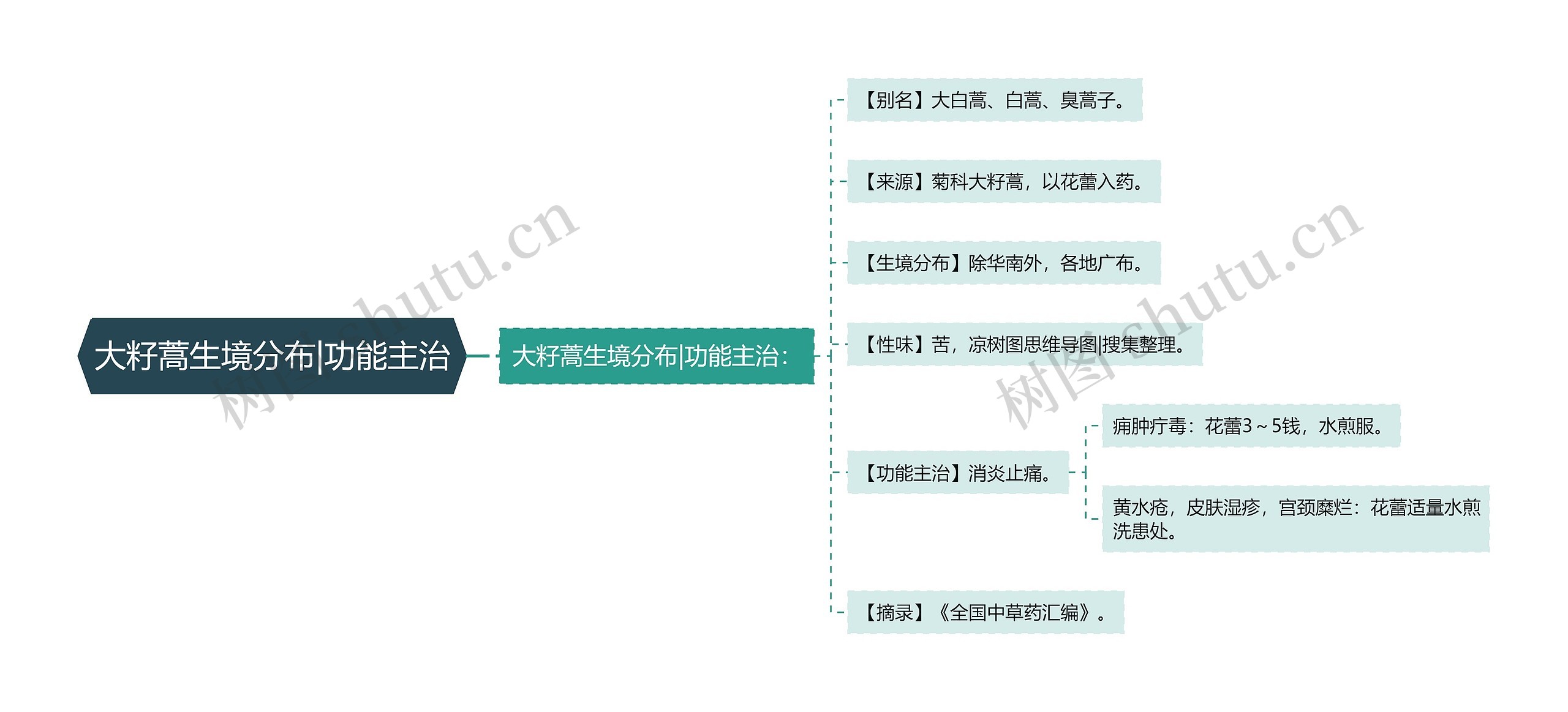 大籽蒿生境分布|功能主治