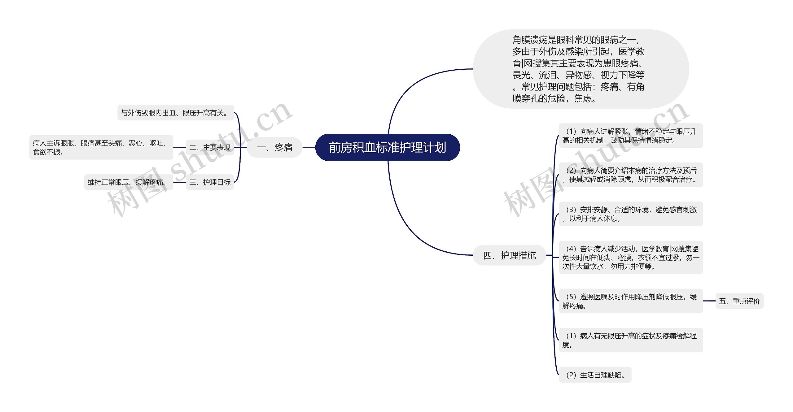 前房积血标准护理计划