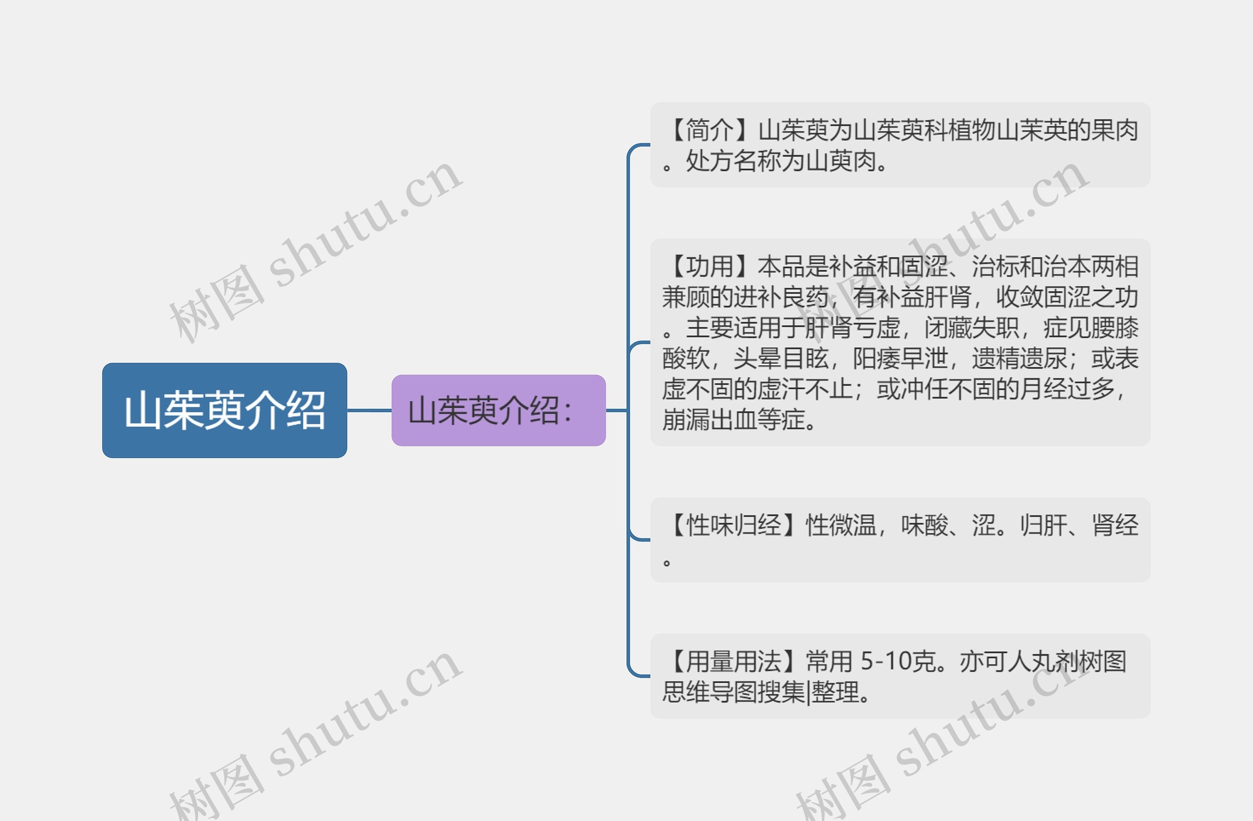 山茱萸介绍思维导图