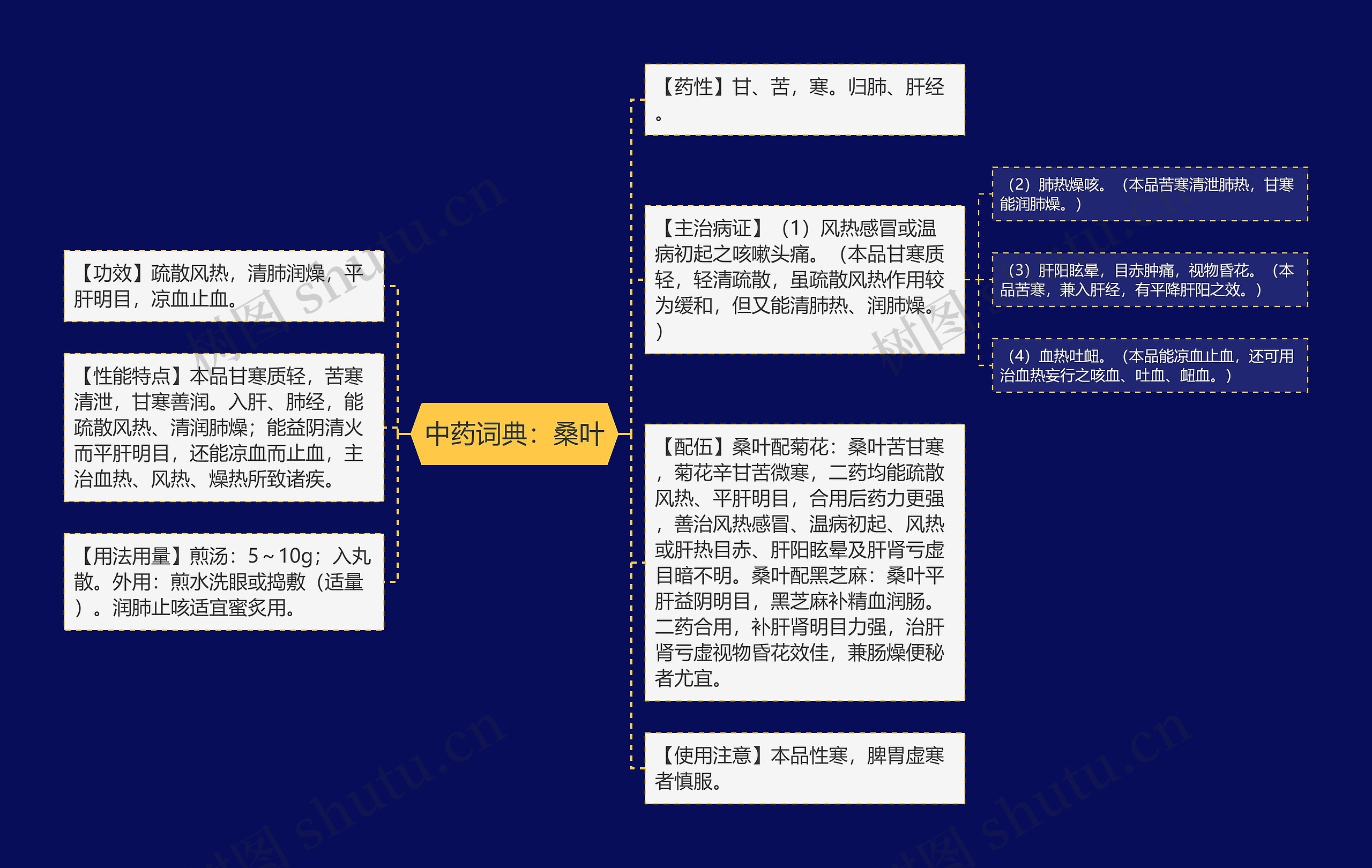 中药词典：桑叶思维导图