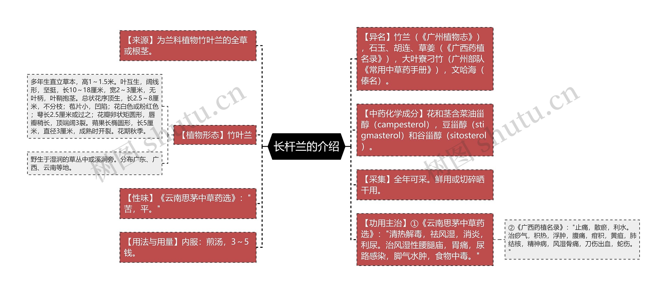 长杆兰的介绍思维导图