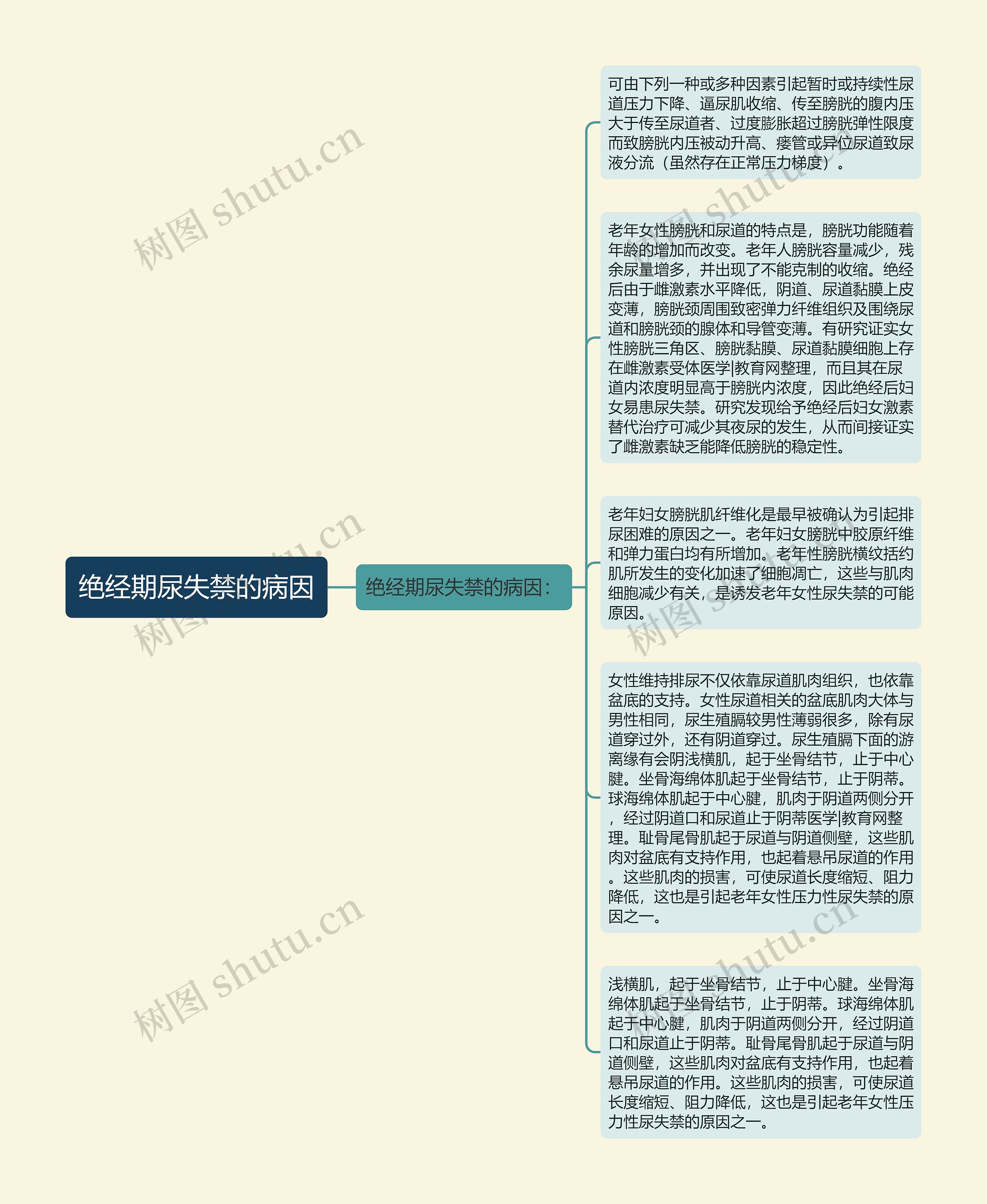 绝经期尿失禁的病因思维导图