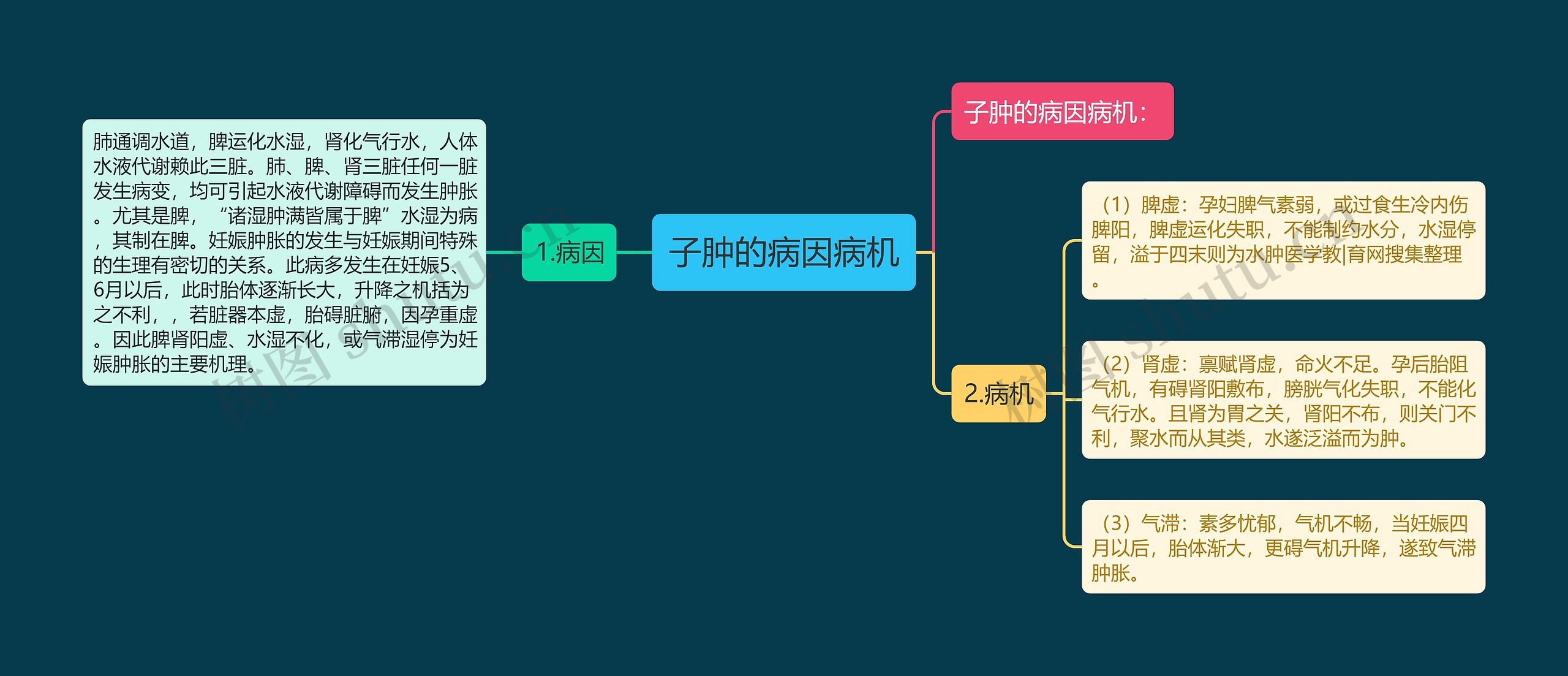 子肿的病因病机思维导图